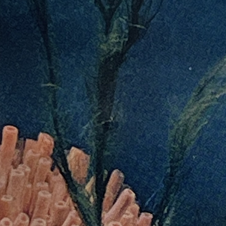 Seeing Through Murky Waters by Ashley Normal - Image 2