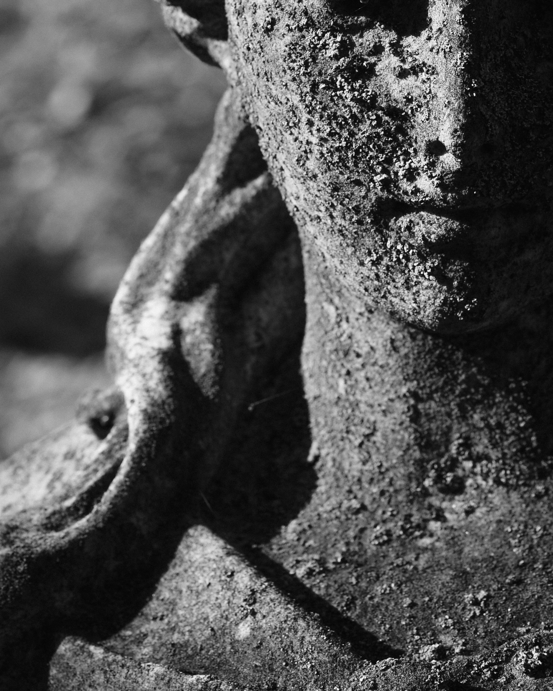 Angel by Christopher Vigue - Image 6