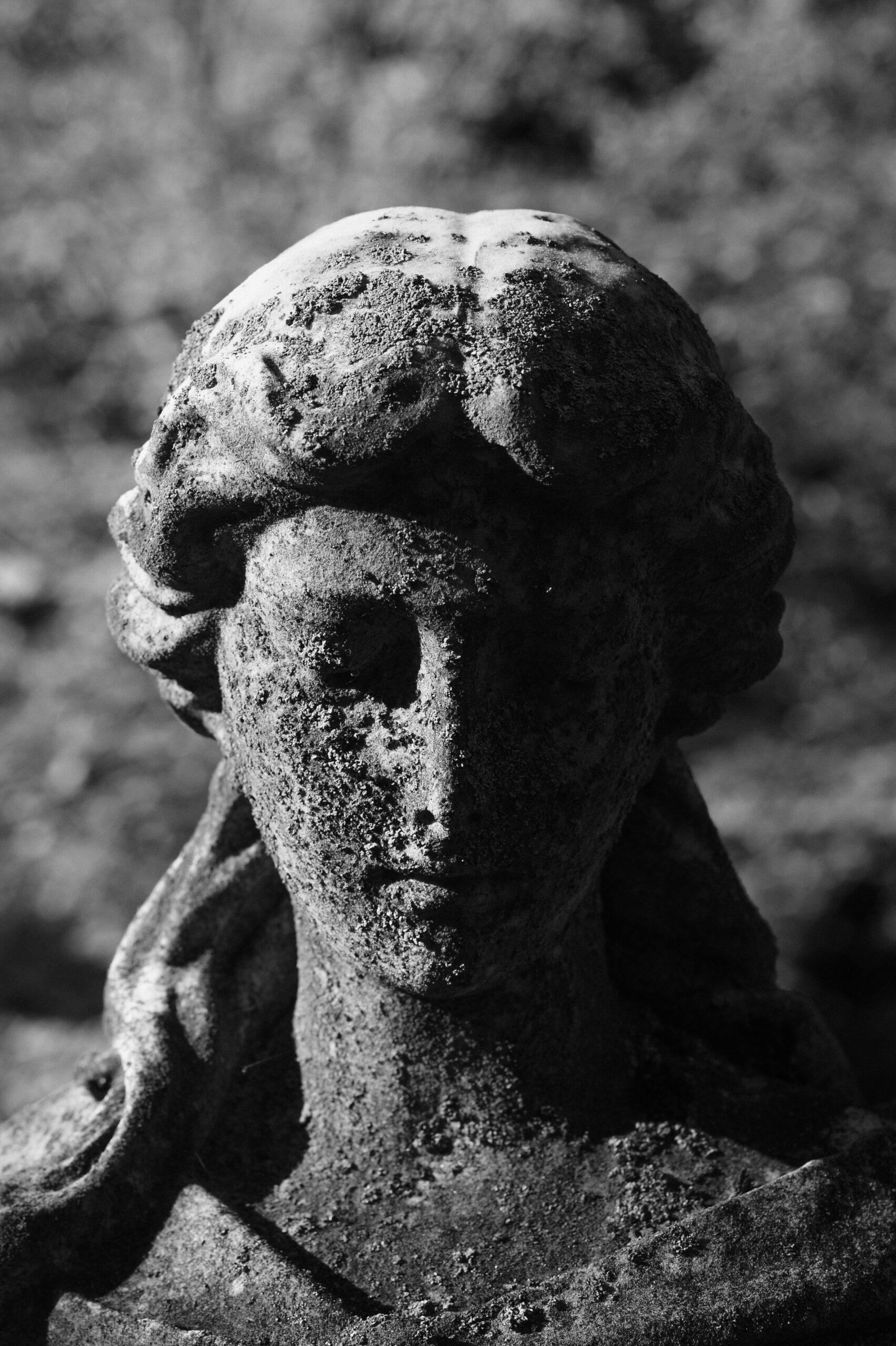 Angel by Christopher Vigue - Image 8