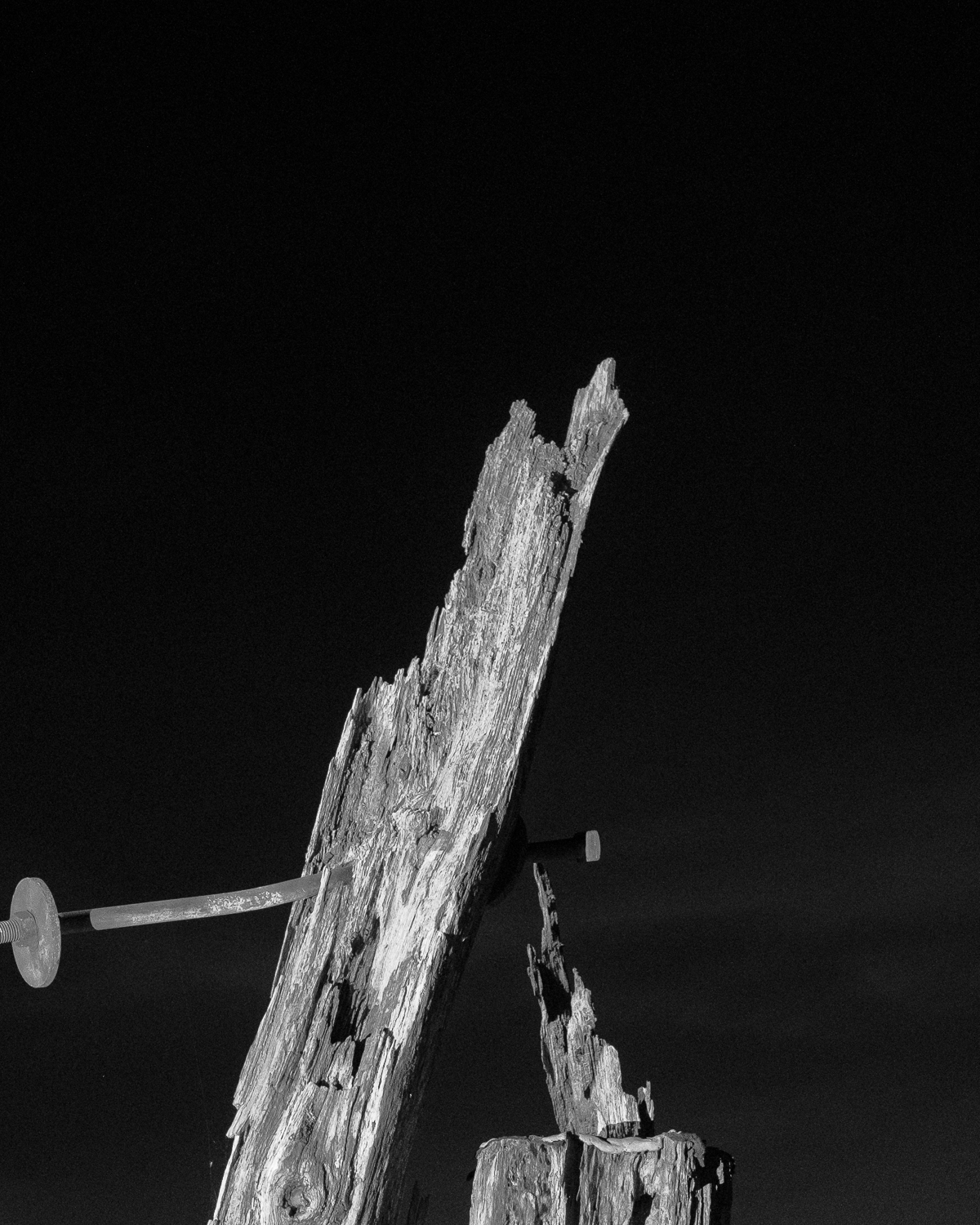 Crescent Shore by Christopher Vigue - Image 5