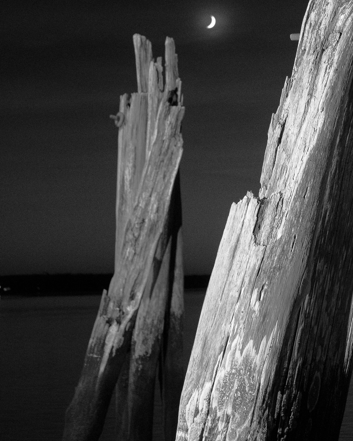 Crescent Shore by Christopher Vigue - Image 6