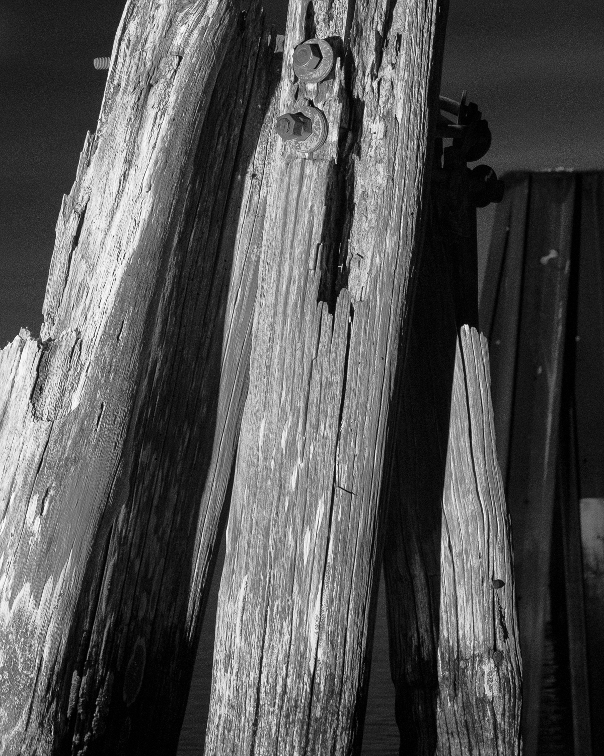 Crescent Shore by Christopher Vigue - Image 7