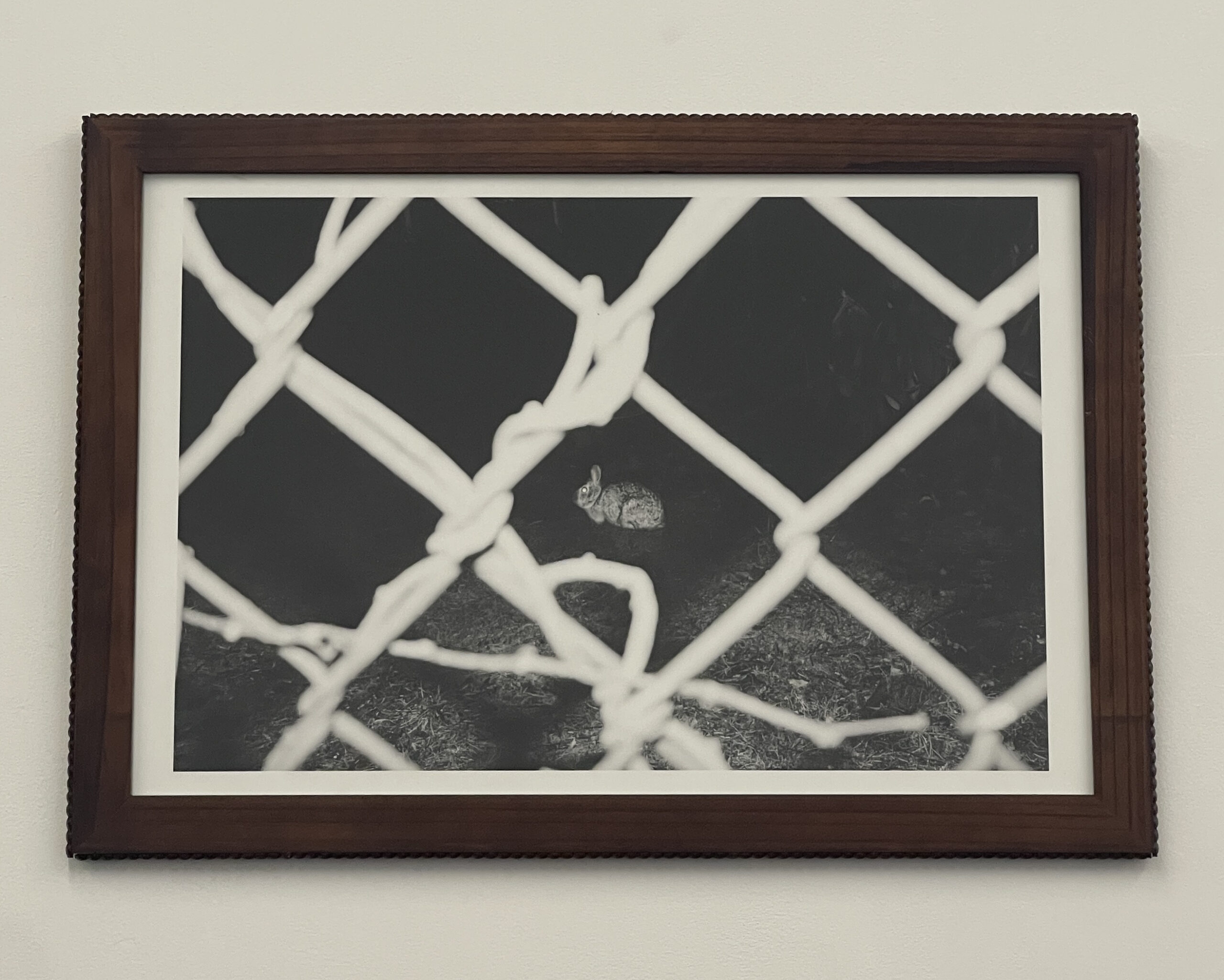 Day One by Christopher Vigue - Image 2