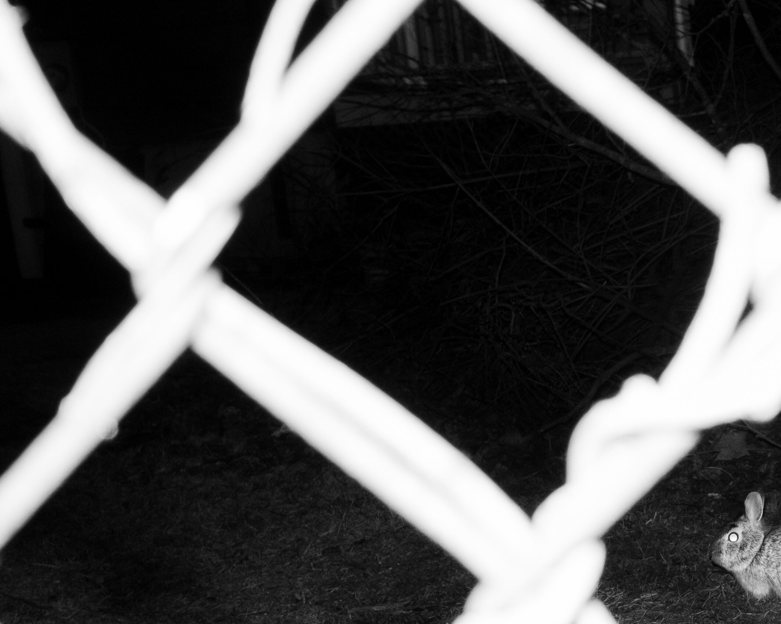 Day One by Christopher Vigue - Image 4