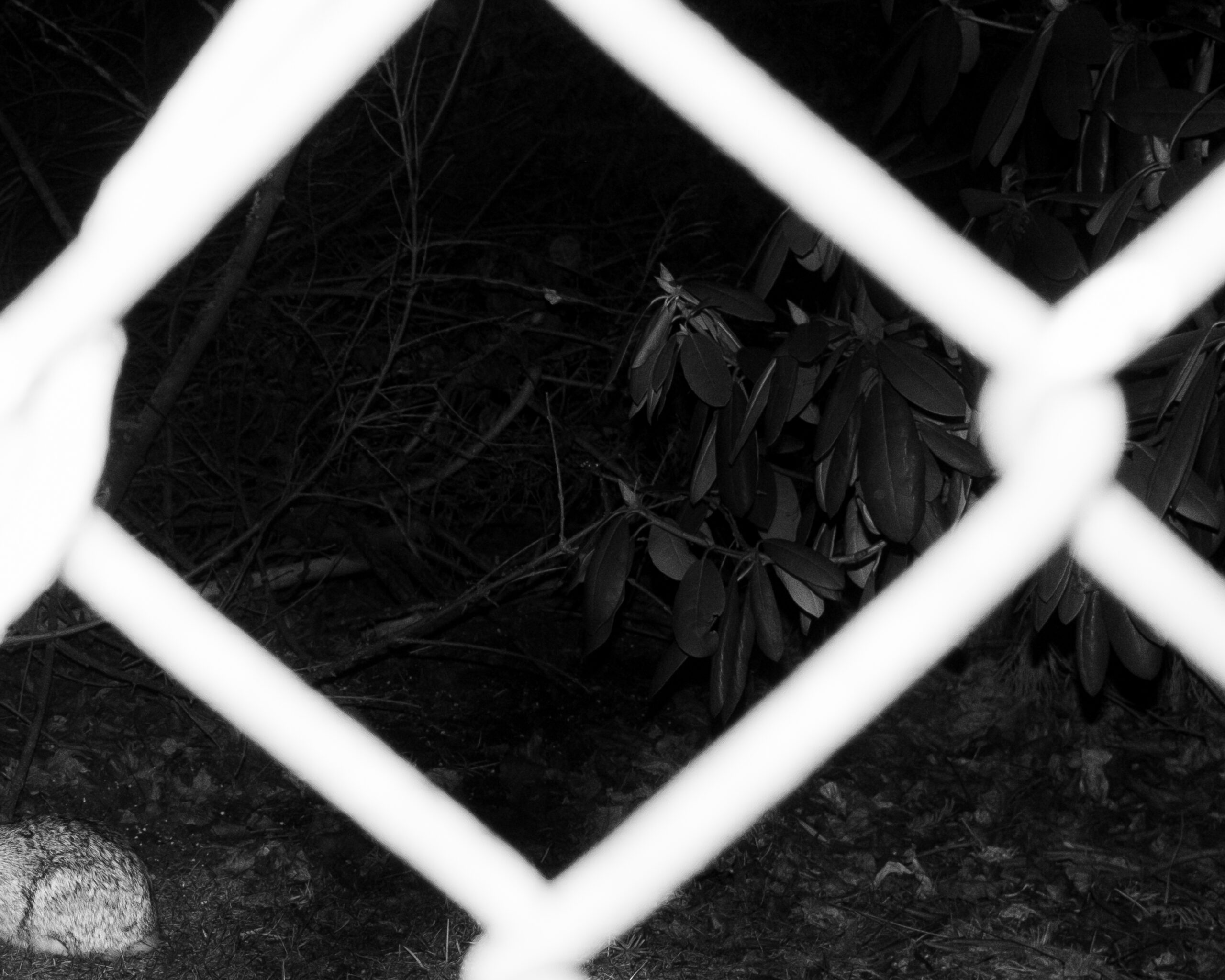 Day One by Christopher Vigue - Image 5