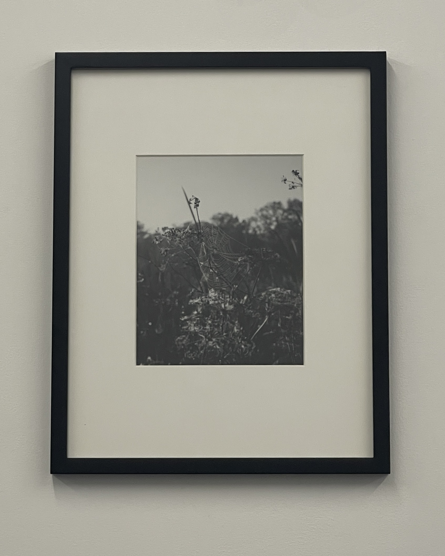Early Morning by Christopher Vigue - Image 2