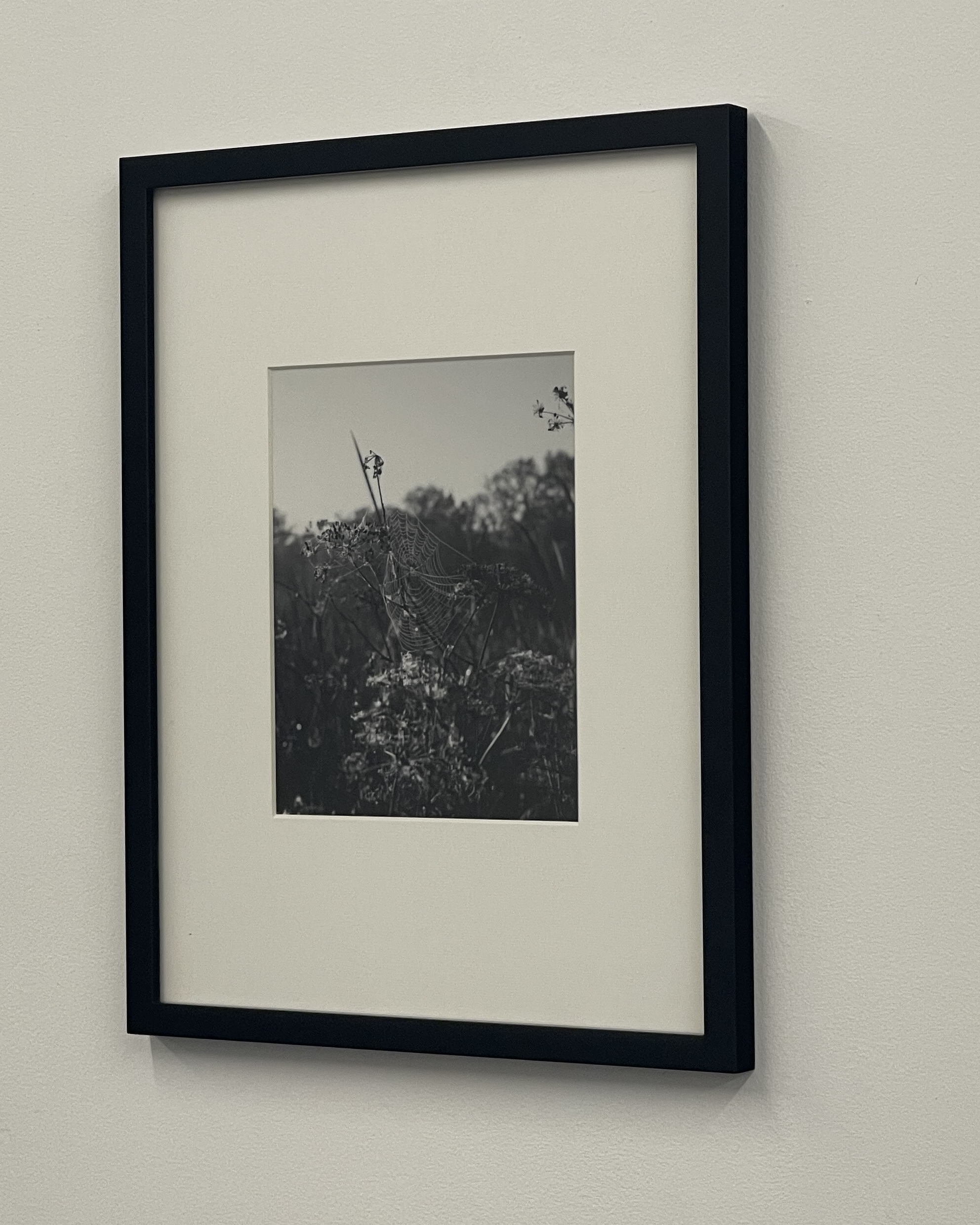 Early Morning by Christopher Vigue - Image 3