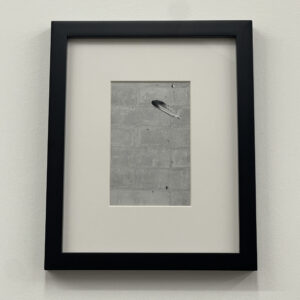 Feather by Christopher Vigue