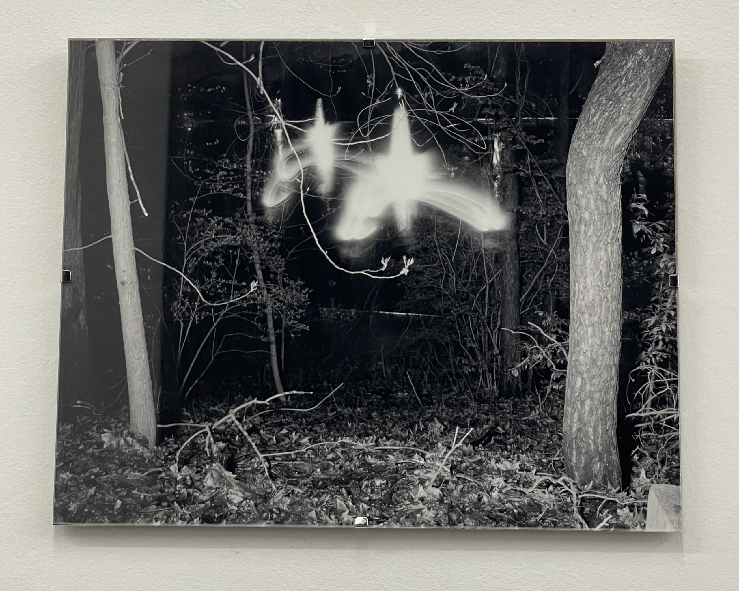 Fountain of Dreams by Christopher Vigue - Image 2