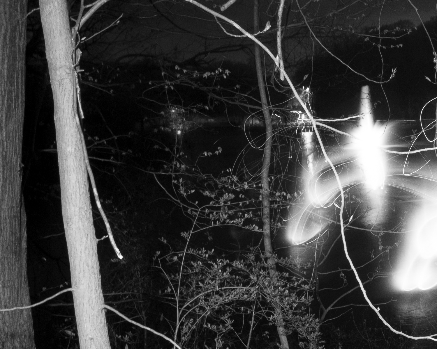 Fountain of Dreams by Christopher Vigue - Image 4