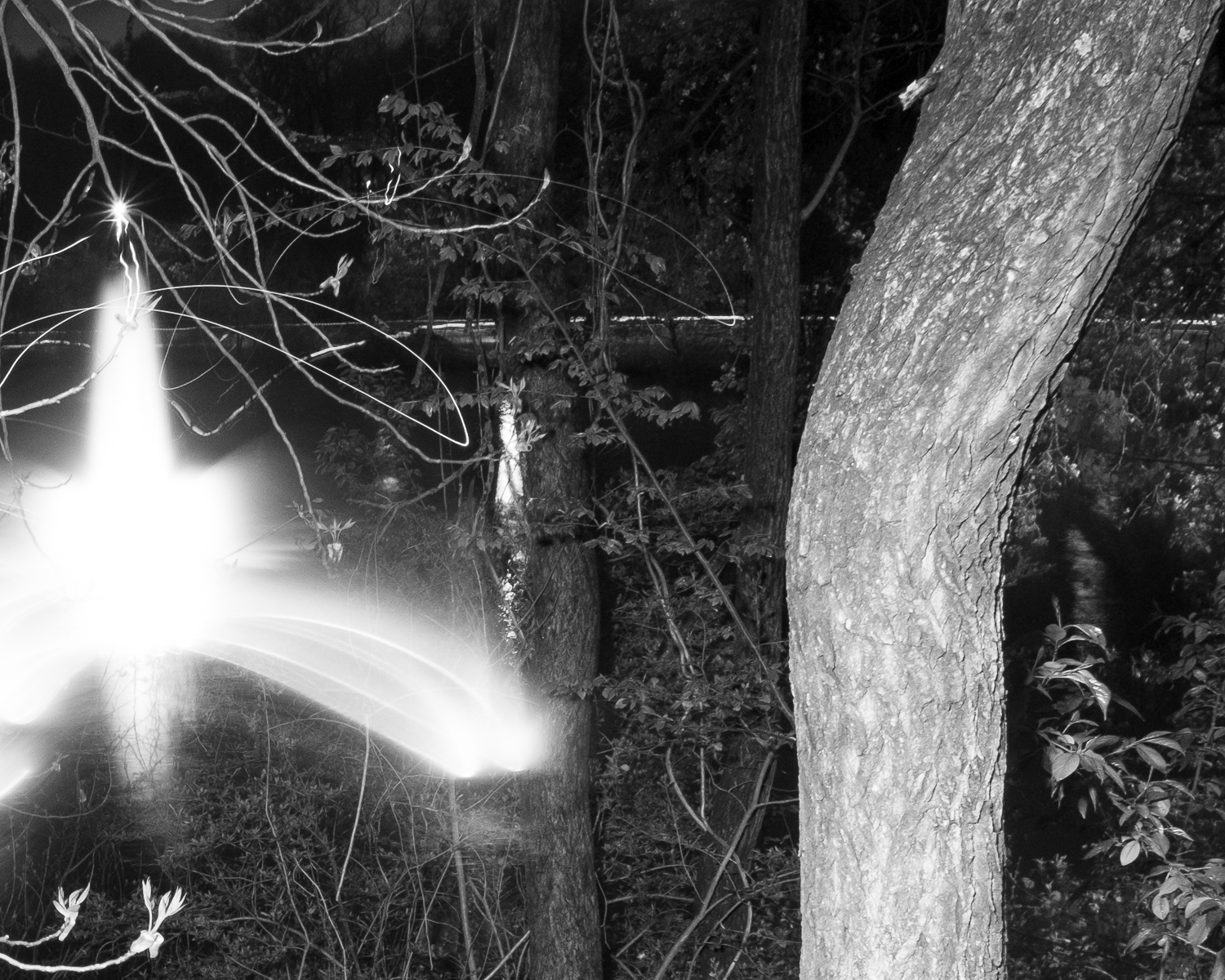 Fountain of Dreams by Christopher Vigue - Image 5