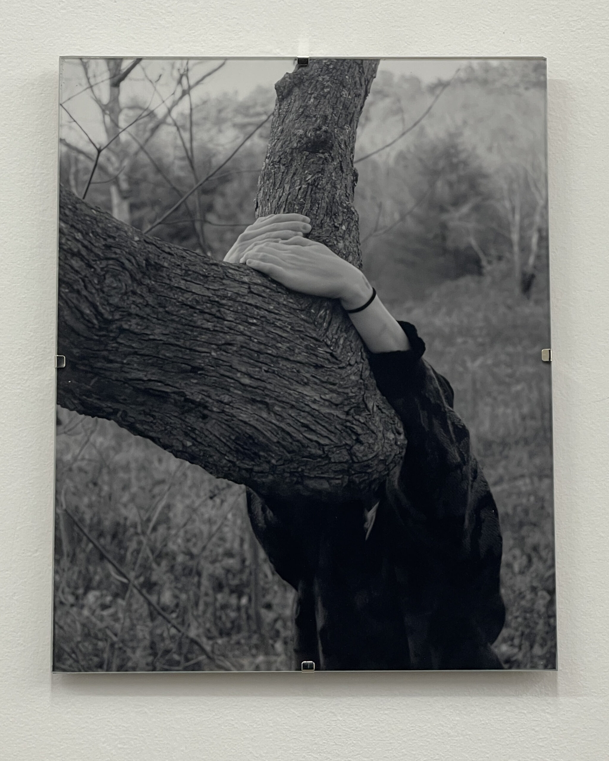 Holding On by Christopher Vigue - Image 2