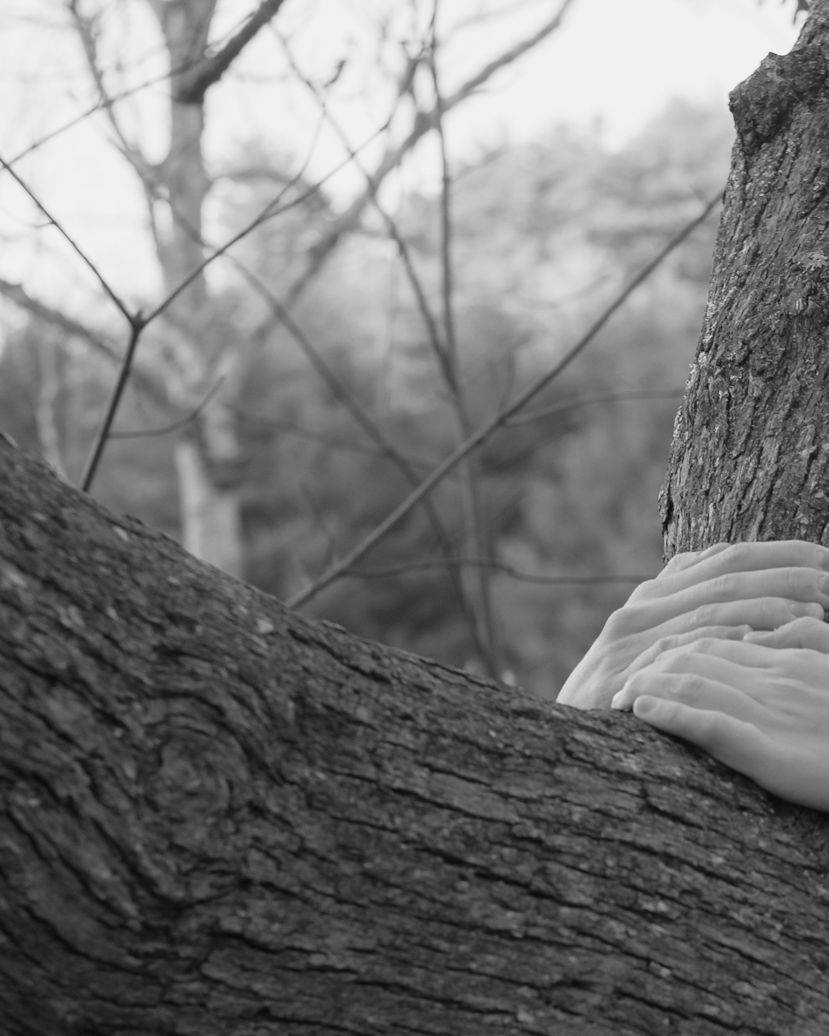 Holding On by Christopher Vigue - Image 4