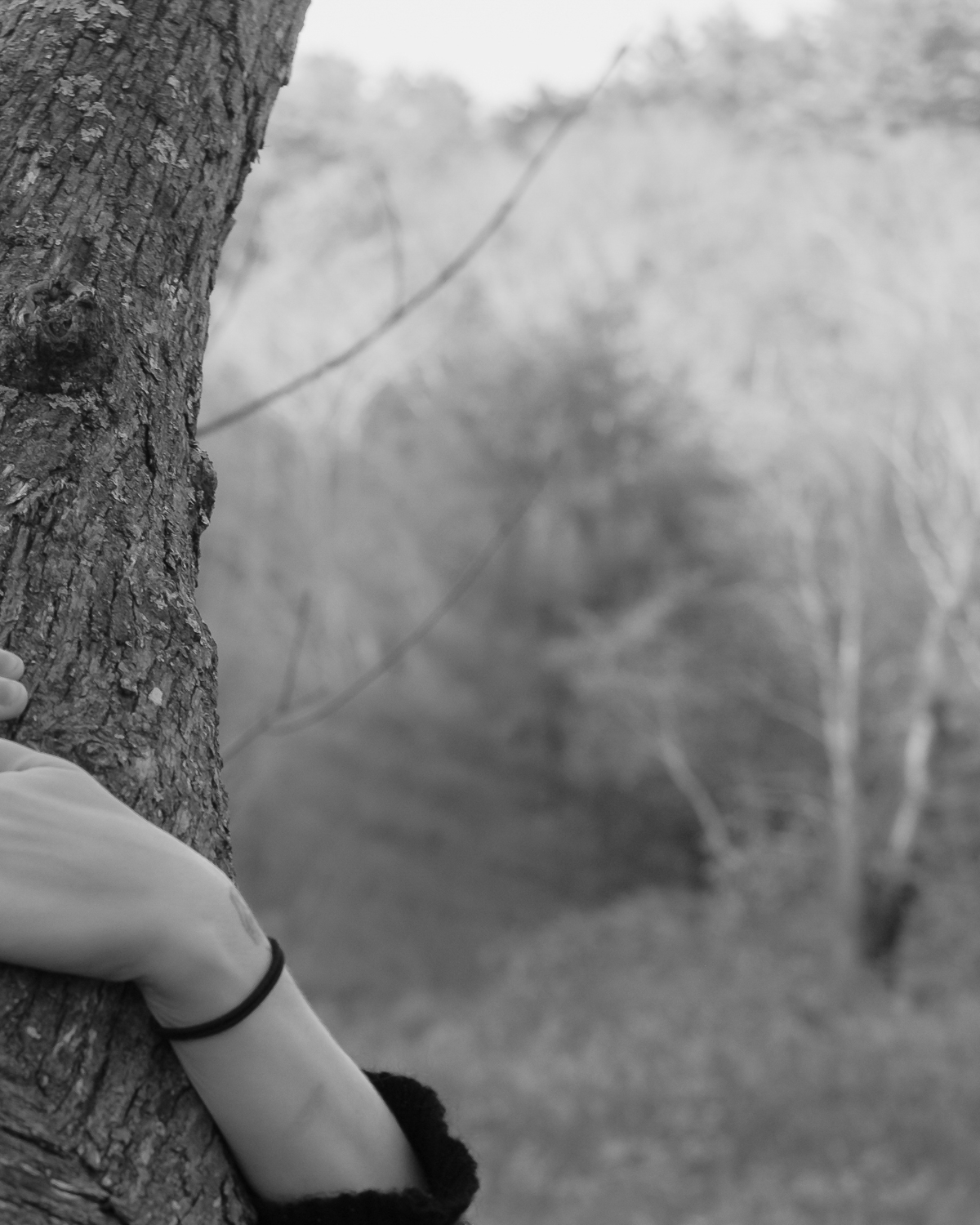 Holding On by Christopher Vigue - Image 5
