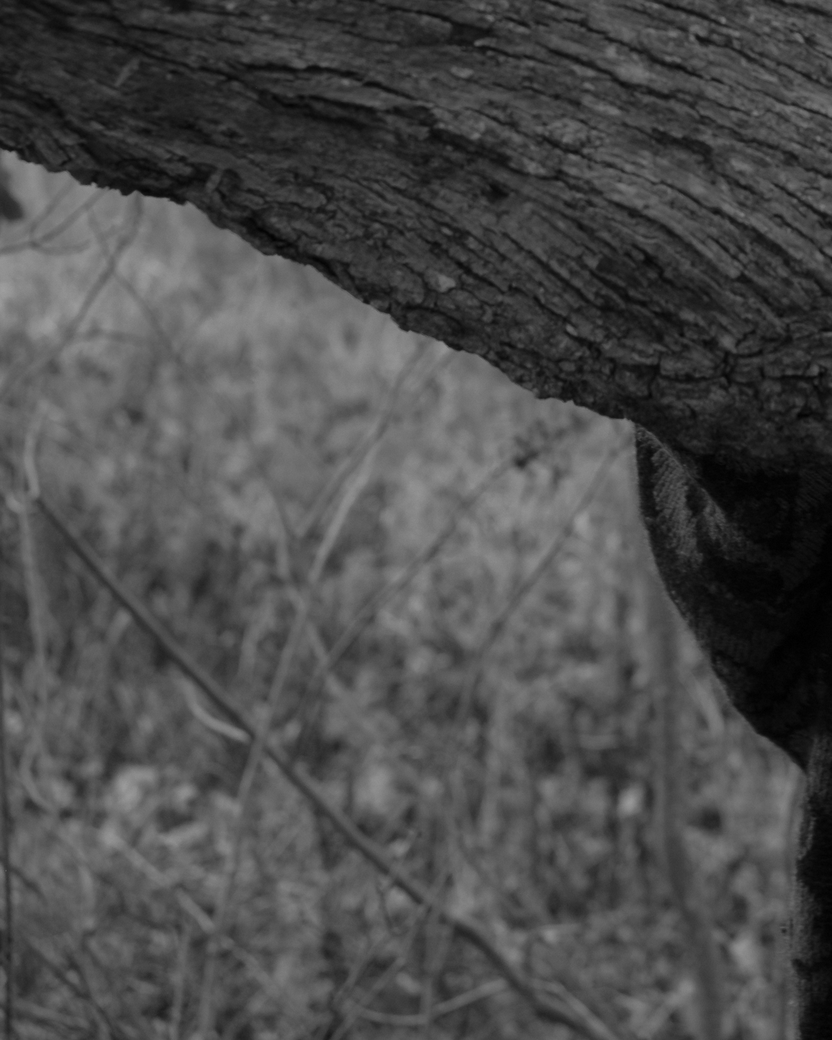 Holding On by Christopher Vigue - Image 6