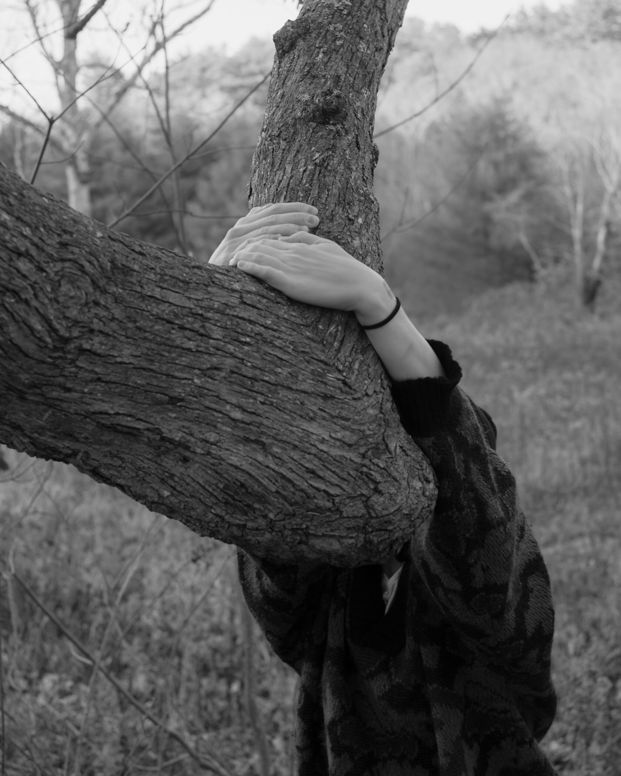 Holding On by Christopher Vigue - Image 8