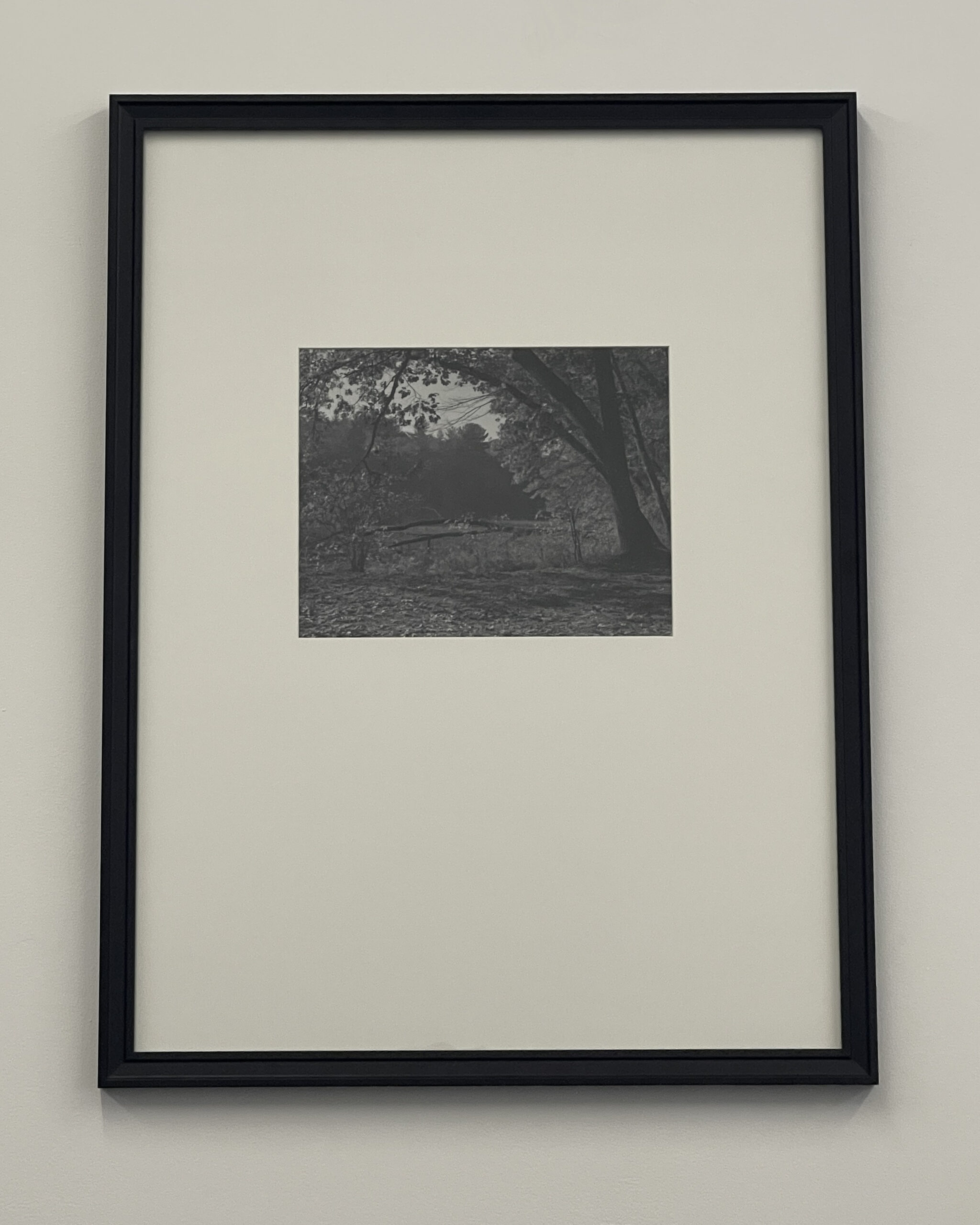 Morning Glory by Christopher Vigue - Image 2