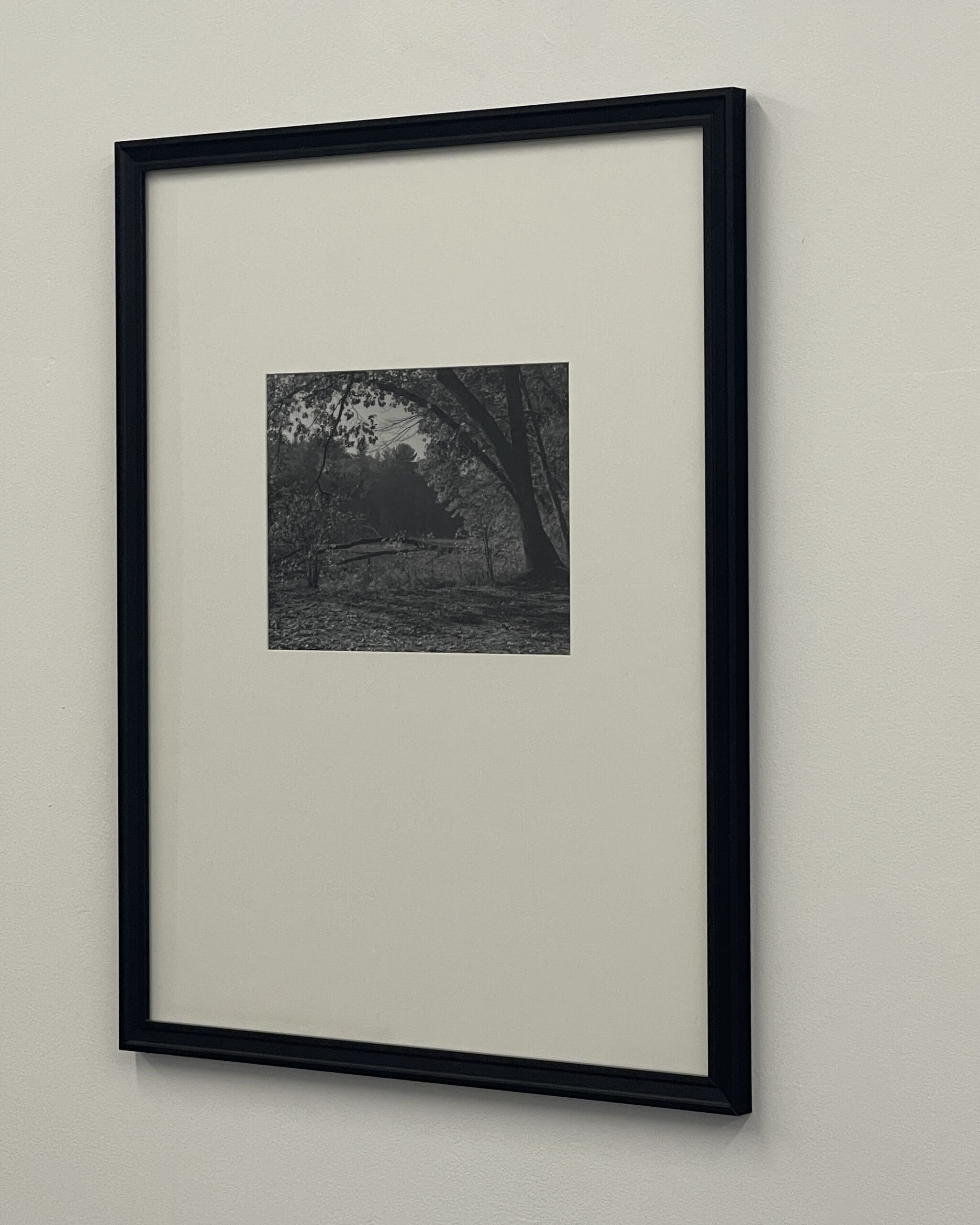Morning Glory by Christopher Vigue - Image 3
