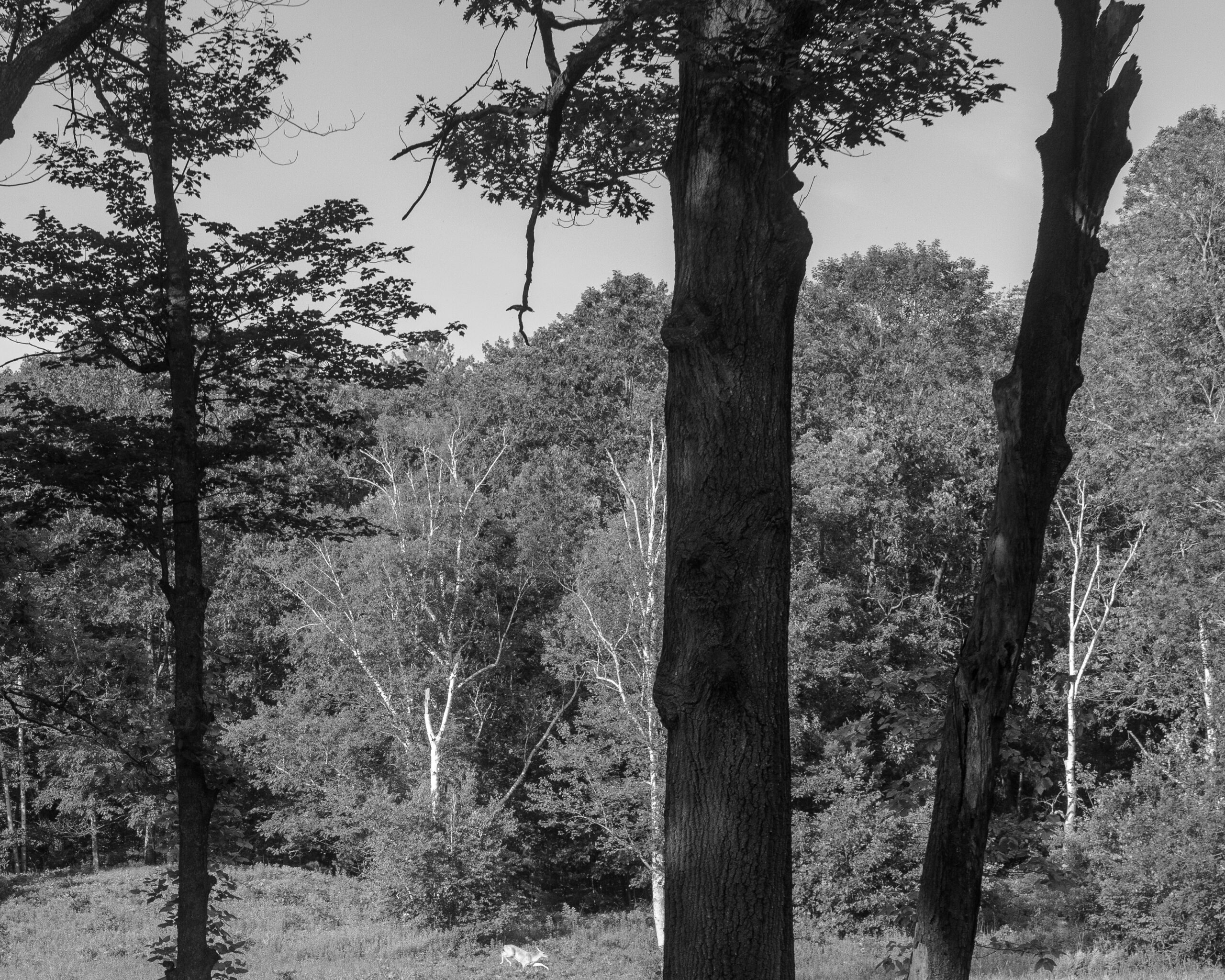 Out There by Christopher Vigue - Image 5