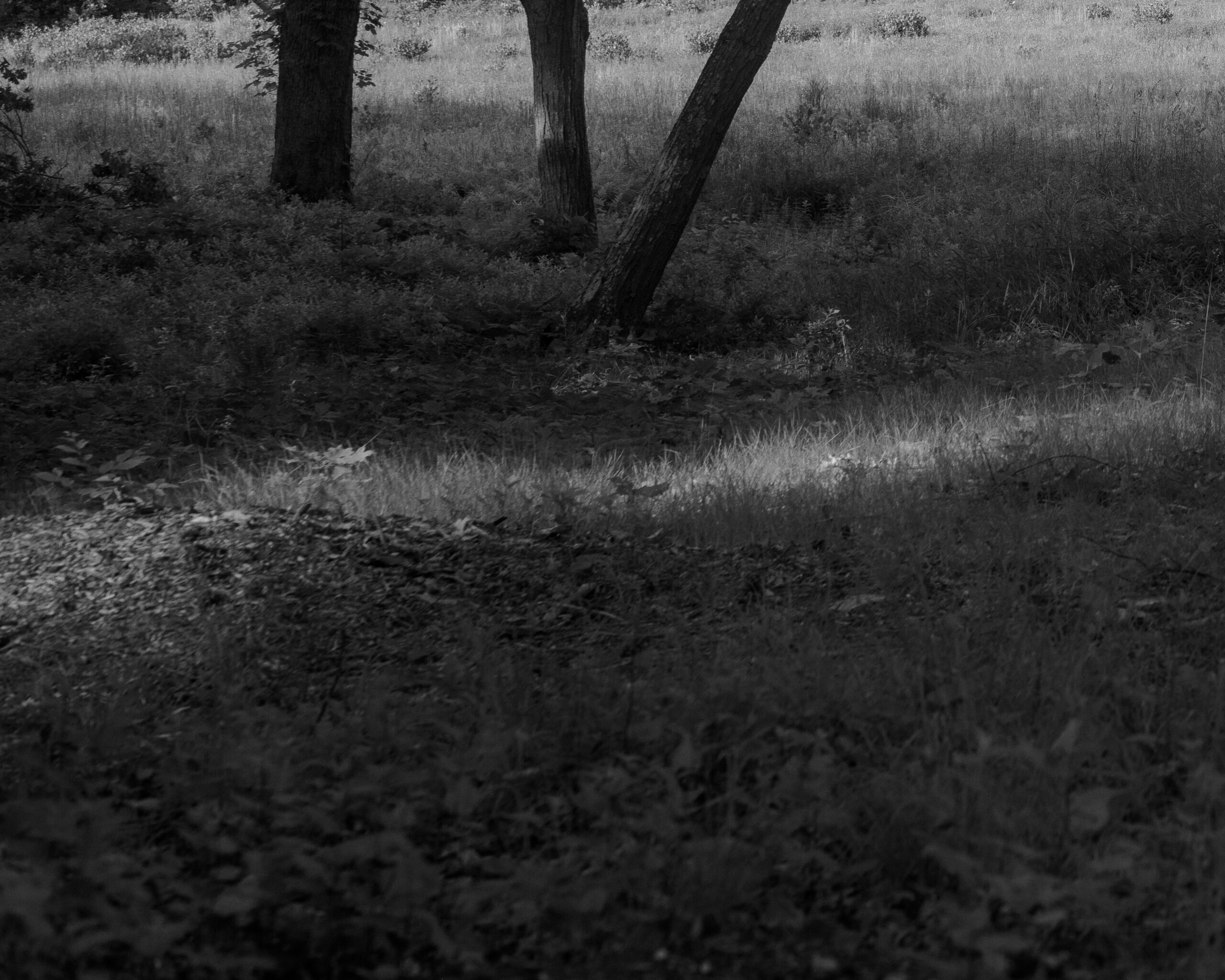 Out There by Christopher Vigue - Image 6