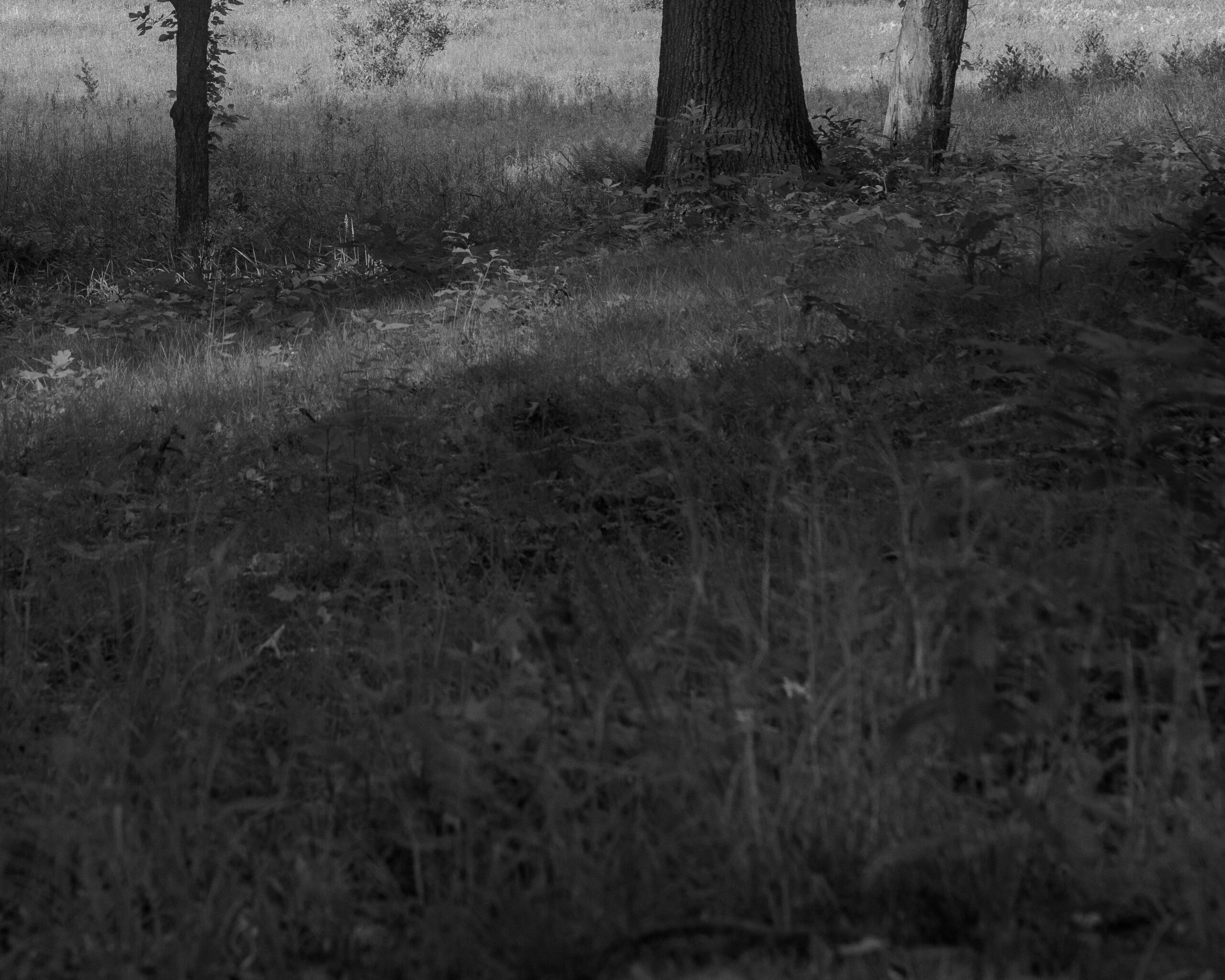 Out There by Christopher Vigue - Image 7