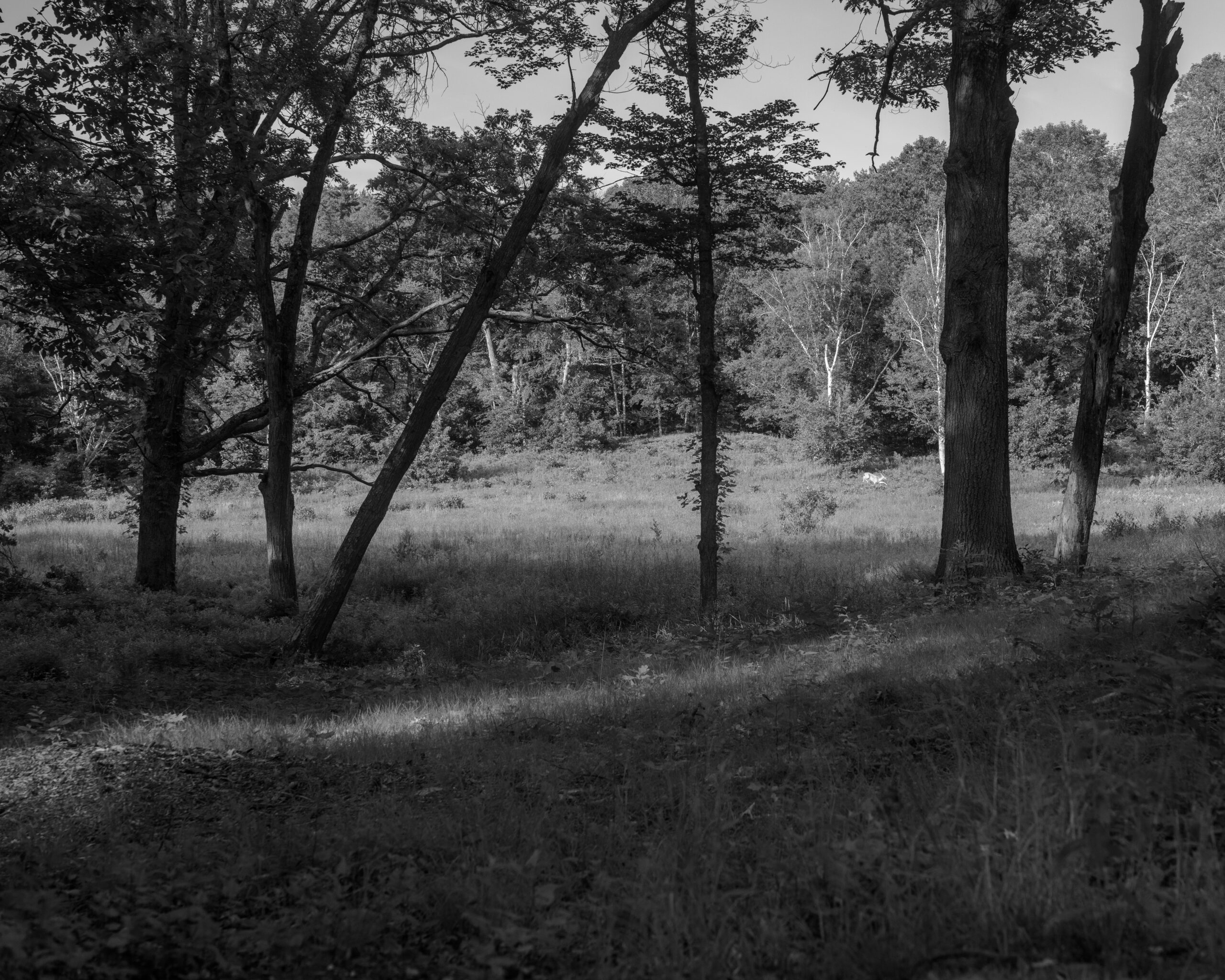Out There by Christopher Vigue - Image 8