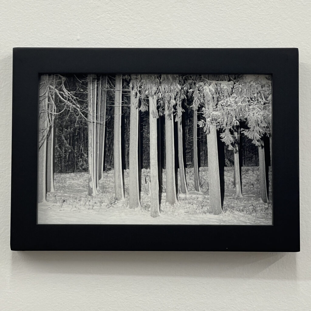 Photograph #17 by Christopher Vigue