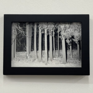 Photograph #17 by Christopher Vigue