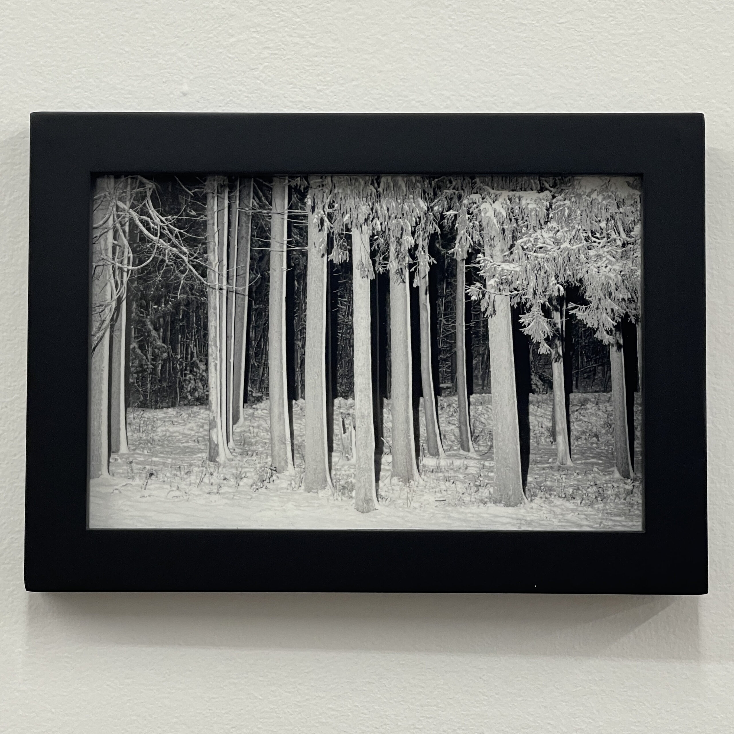 Photograph #17 by Christopher Vigue