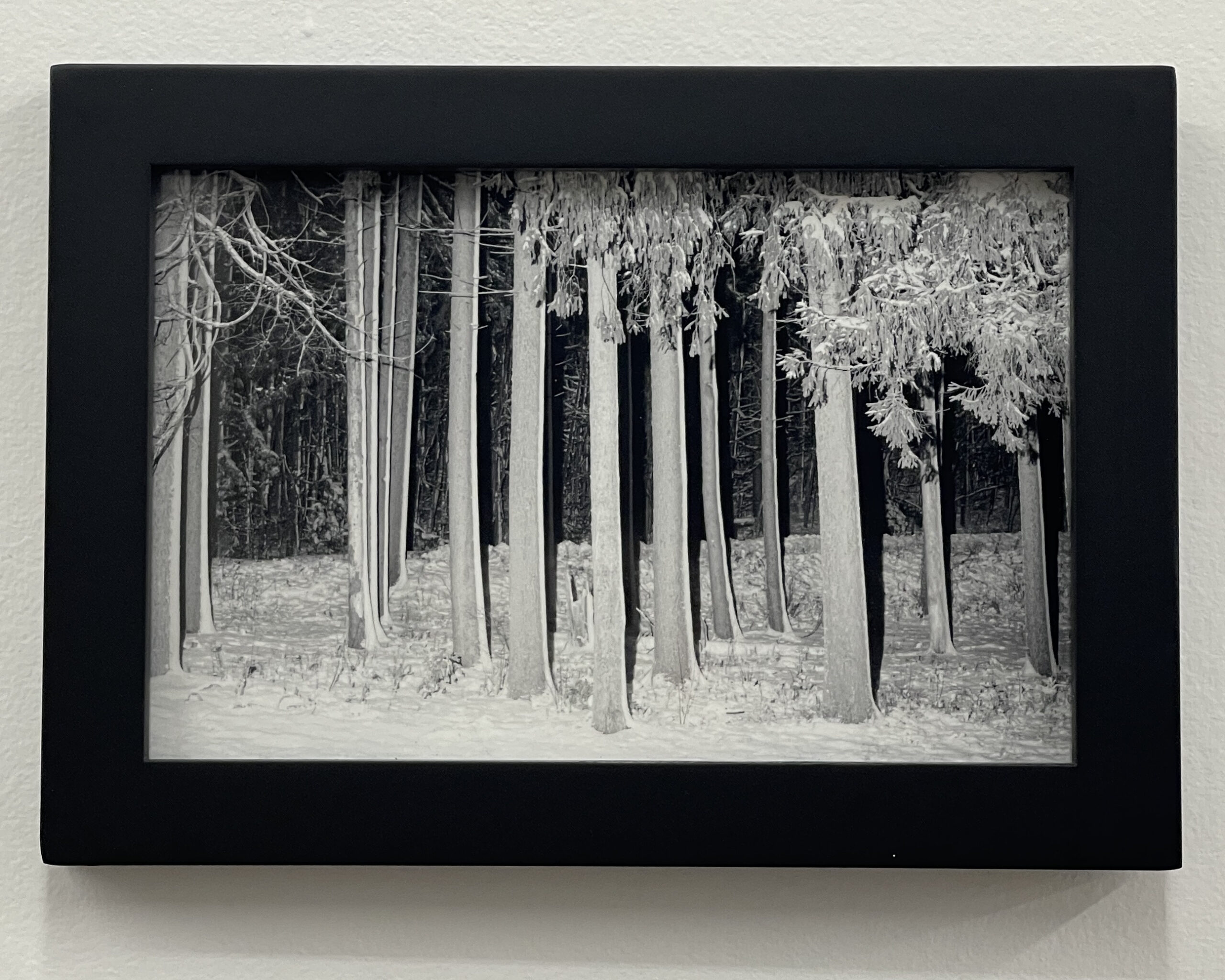Photograph #17 by Christopher Vigue - Image 2