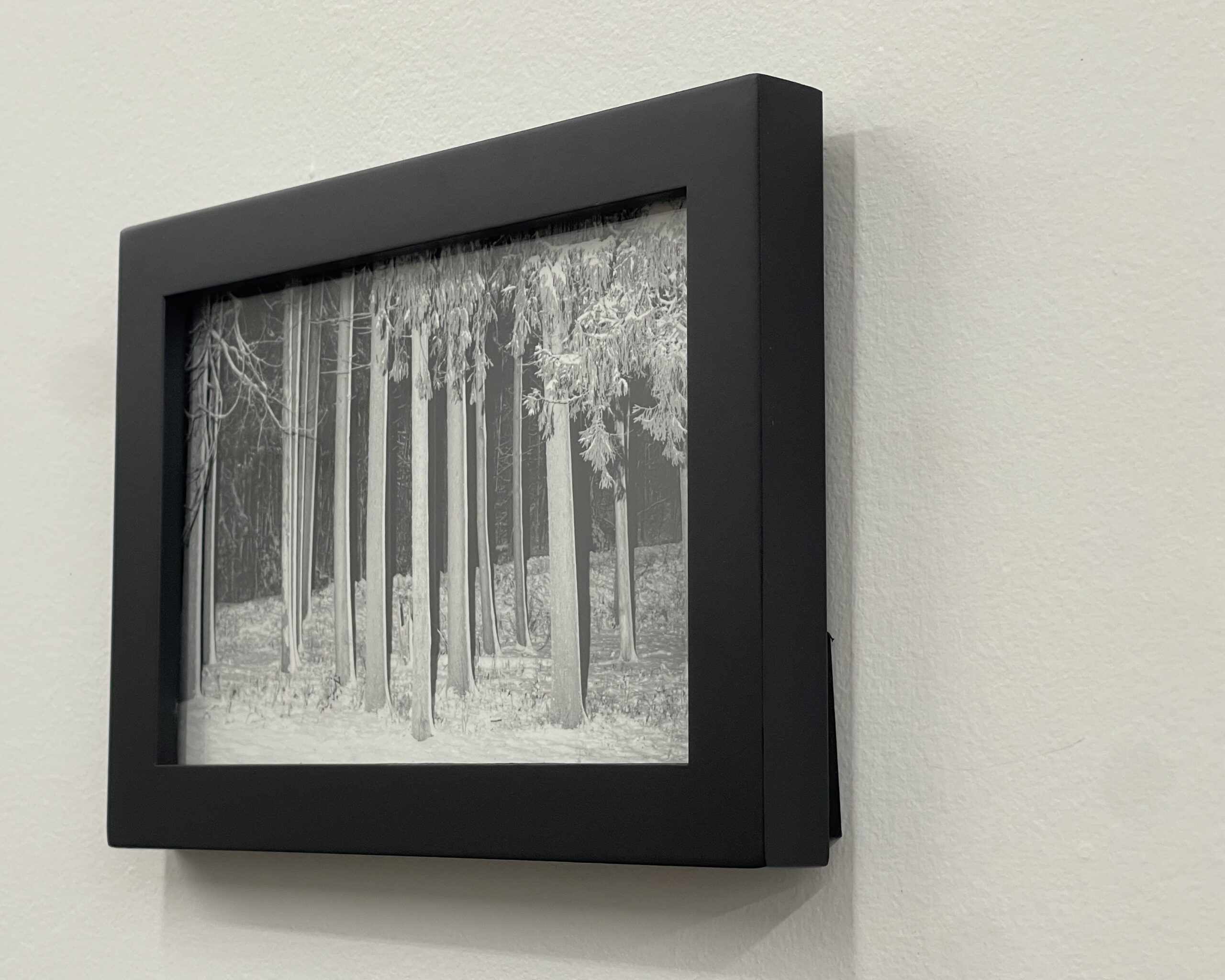 Photograph #17 by Christopher Vigue - Image 3