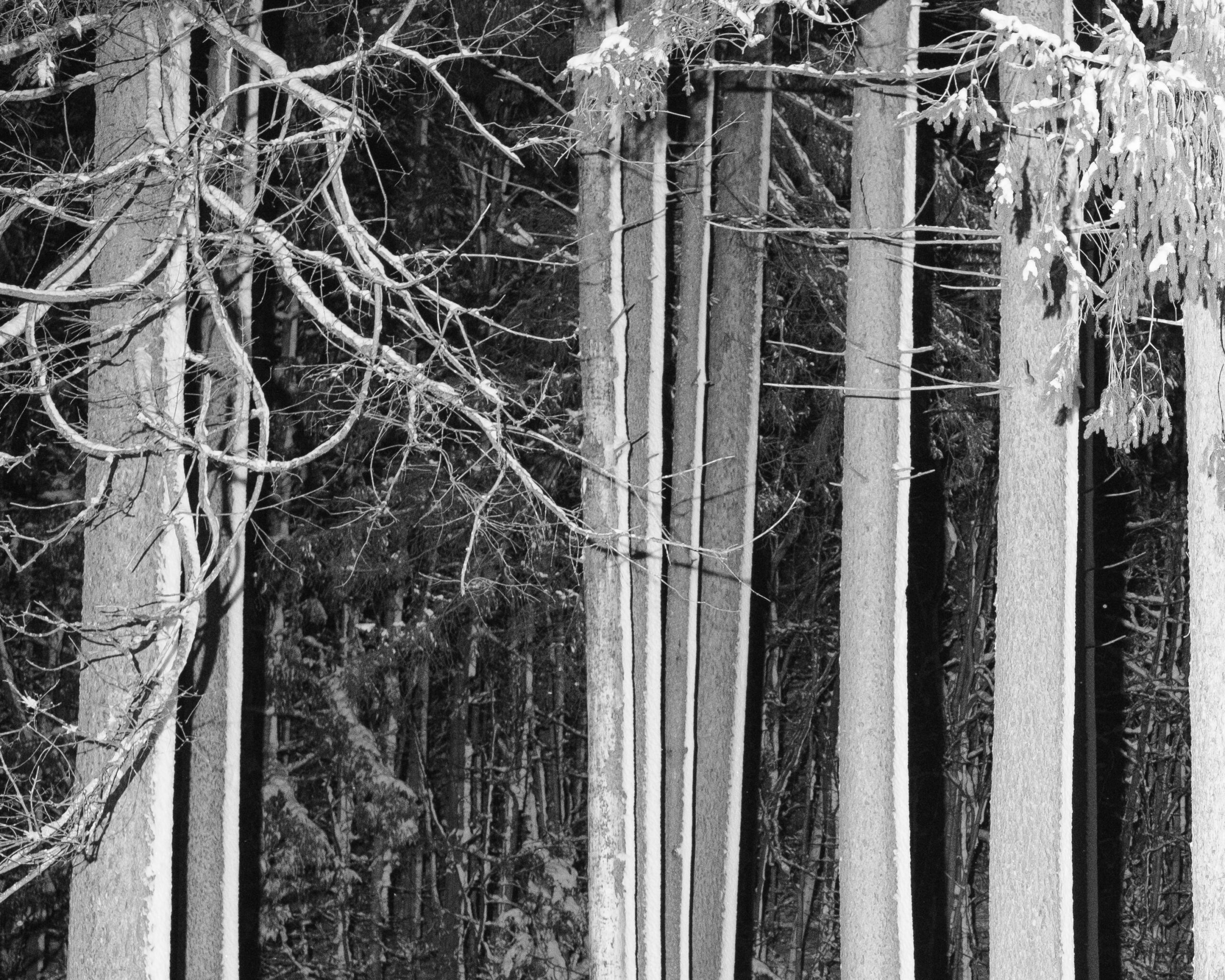 Photograph #17 by Christopher Vigue - Image 4