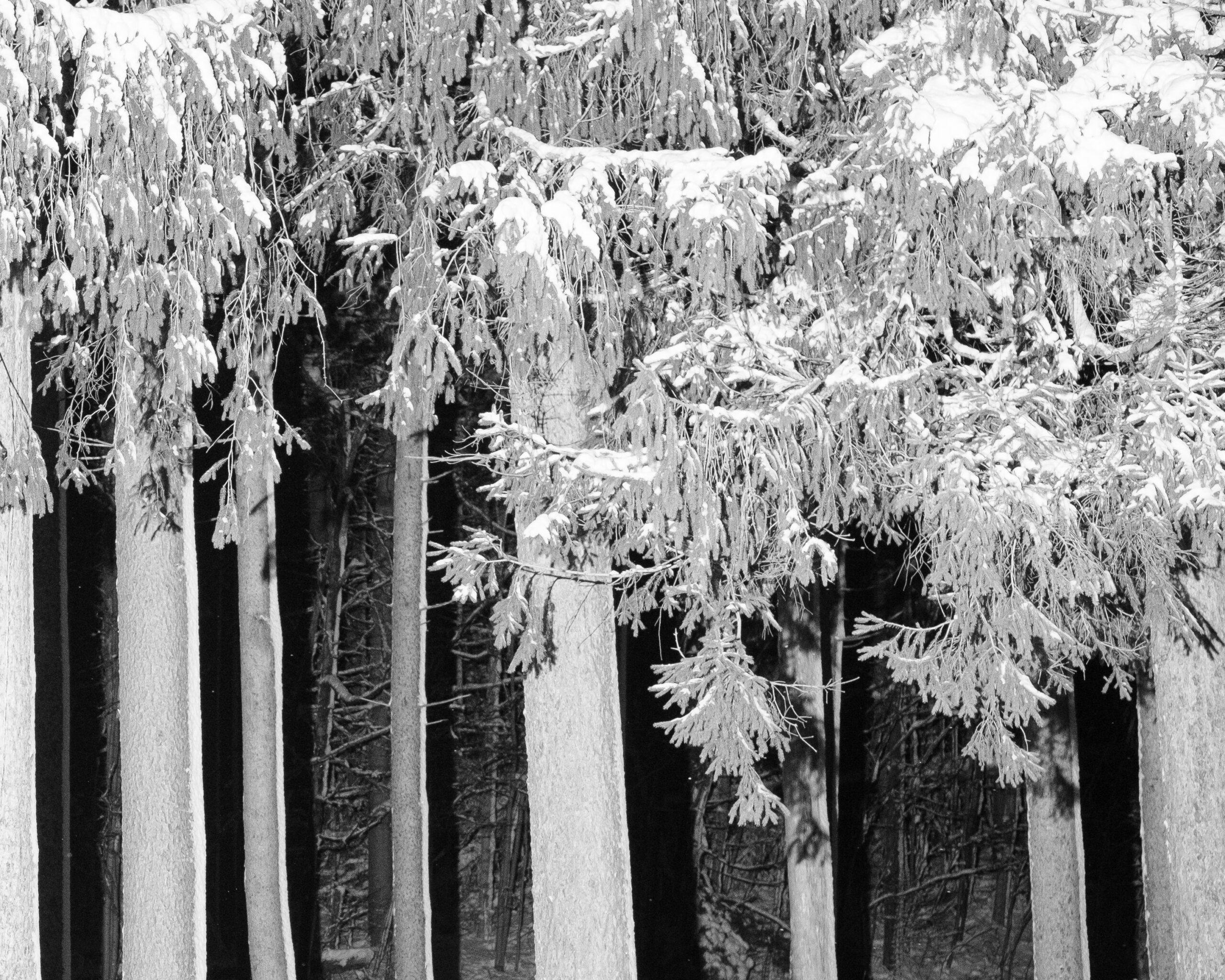 Photograph #17 by Christopher Vigue - Image 5