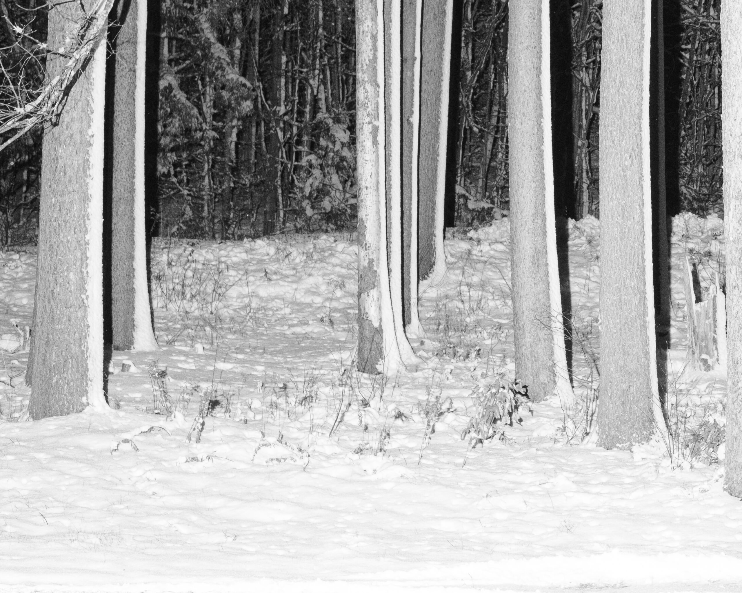 Photograph #17 by Christopher Vigue - Image 6