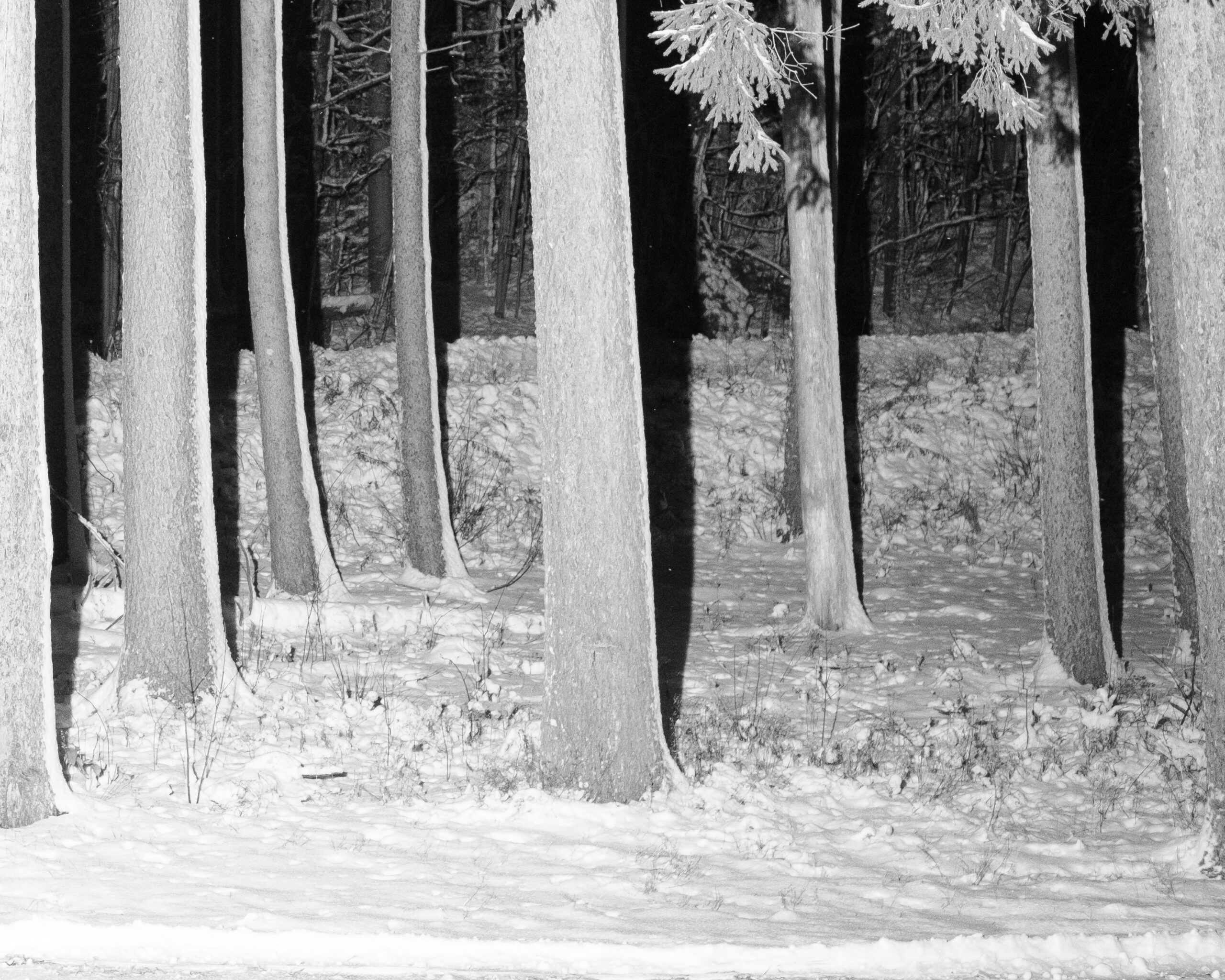 Photograph #17 by Christopher Vigue - Image 7