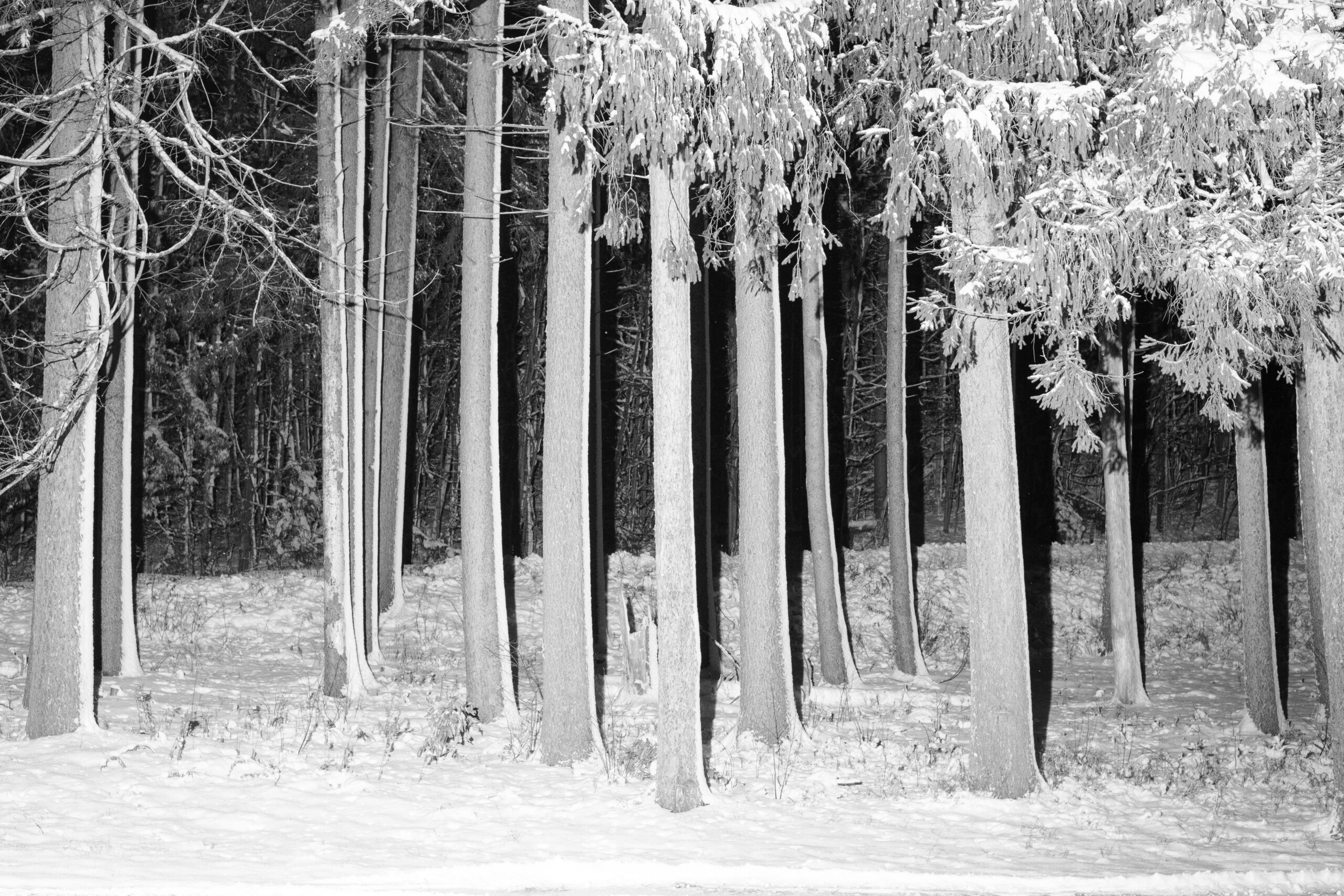 Photograph #17 by Christopher Vigue - Image 8
