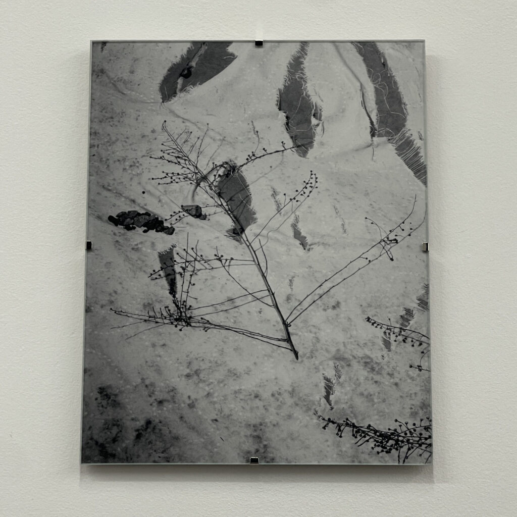 Still by Christopher Vigue
