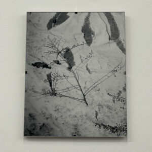 Still by Christopher Vigue