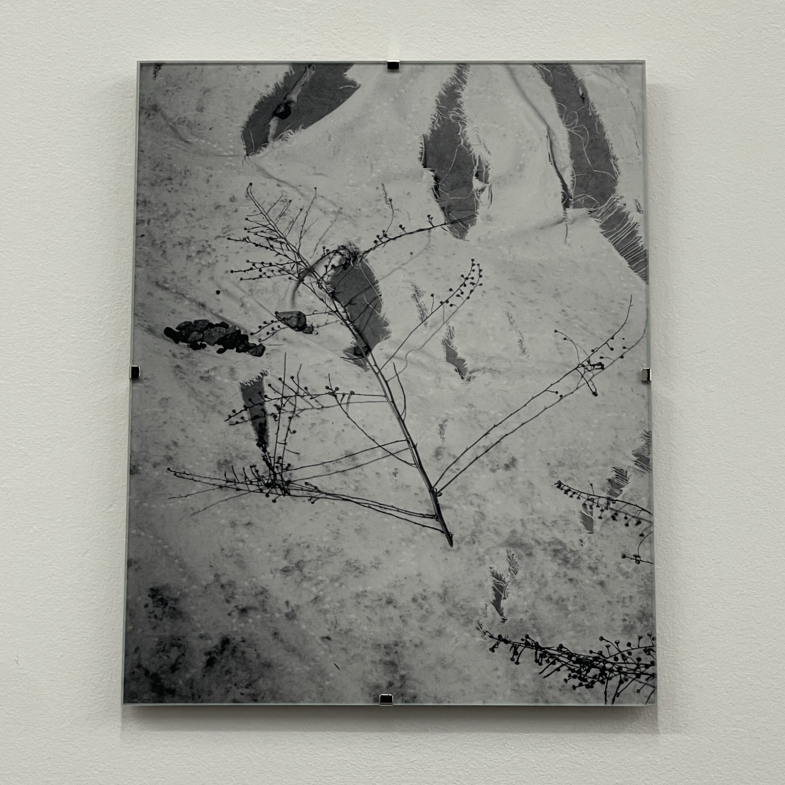 Still by Christopher Vigue