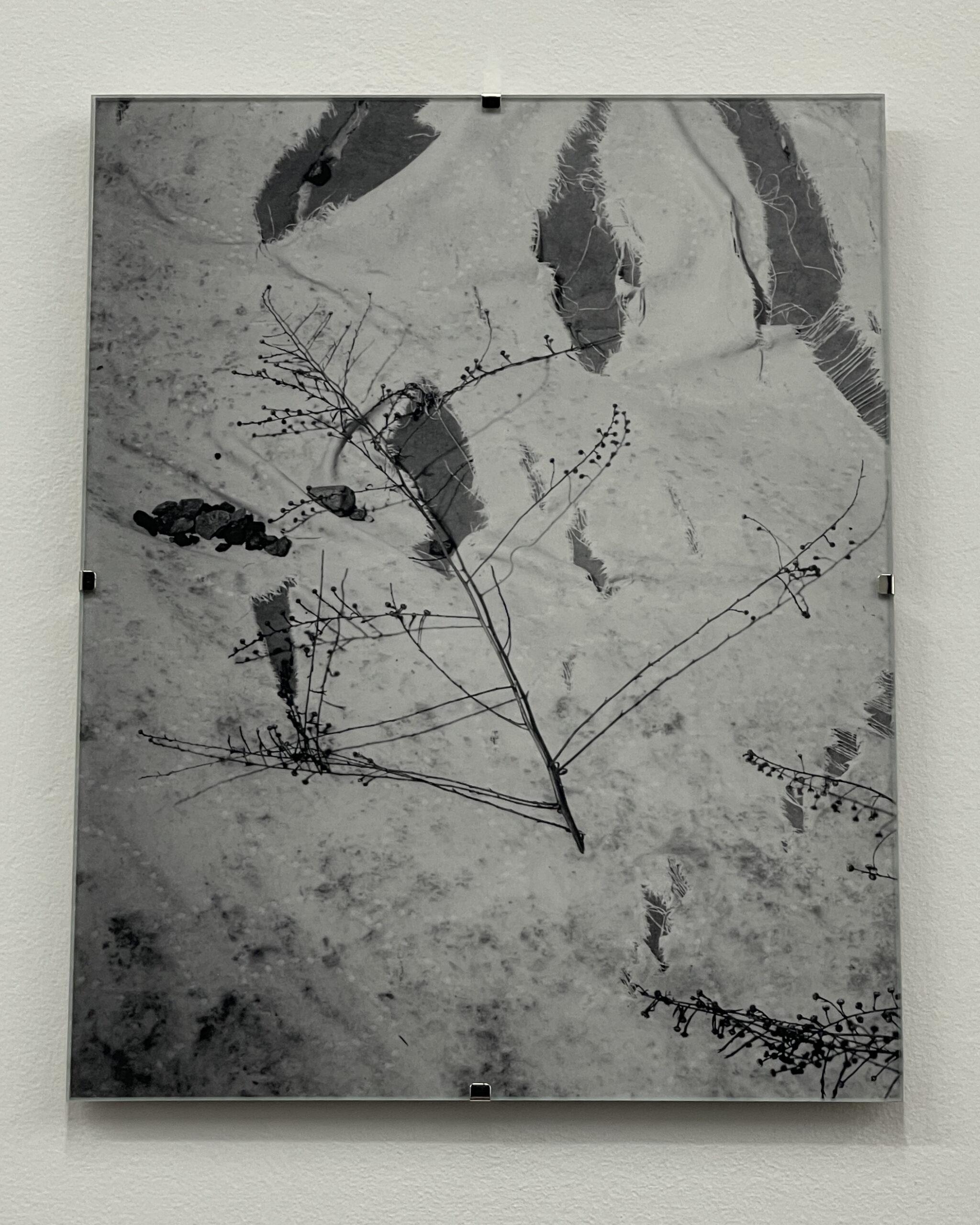 Still by Christopher Vigue - Image 8