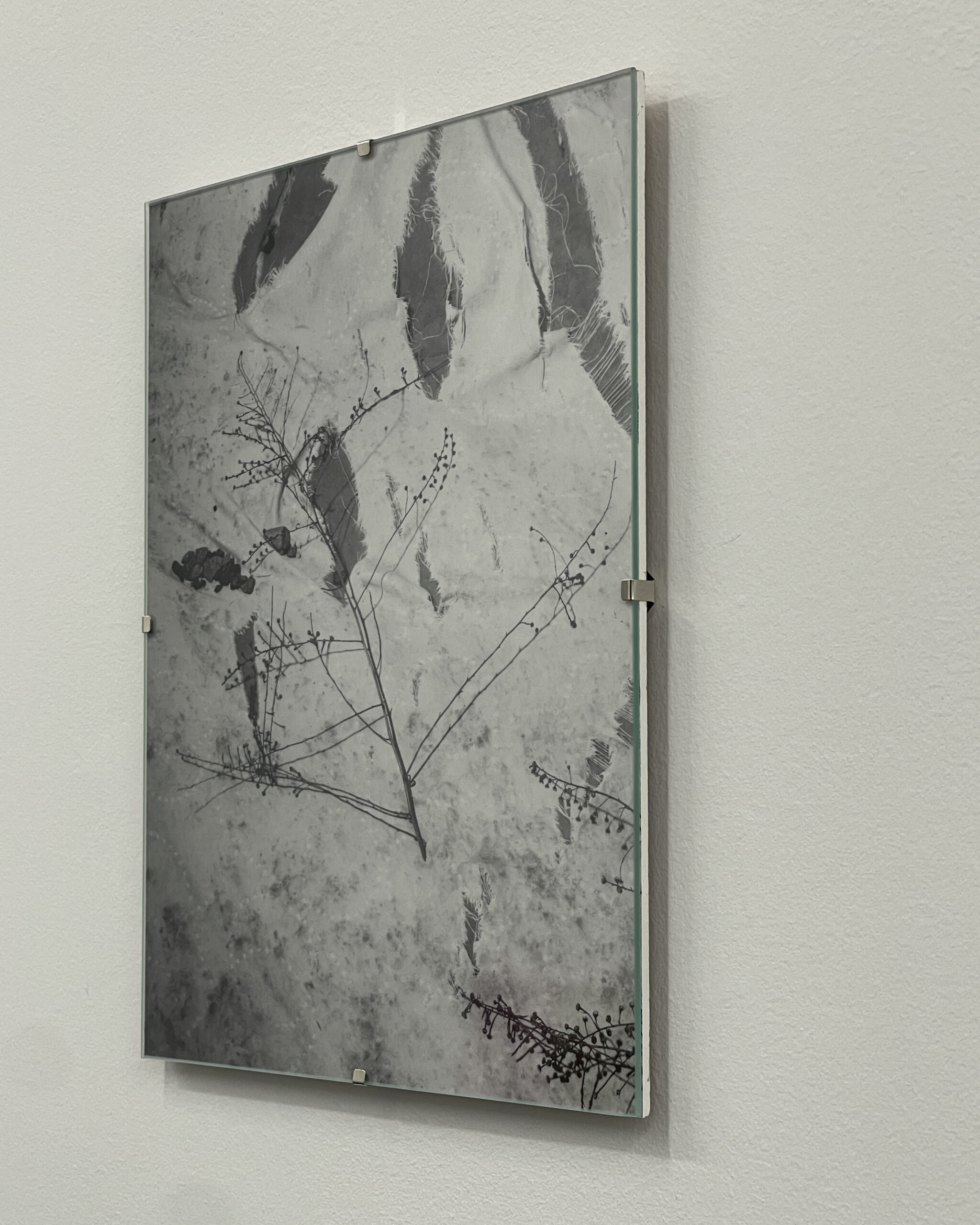 Still by Christopher Vigue - Image 7