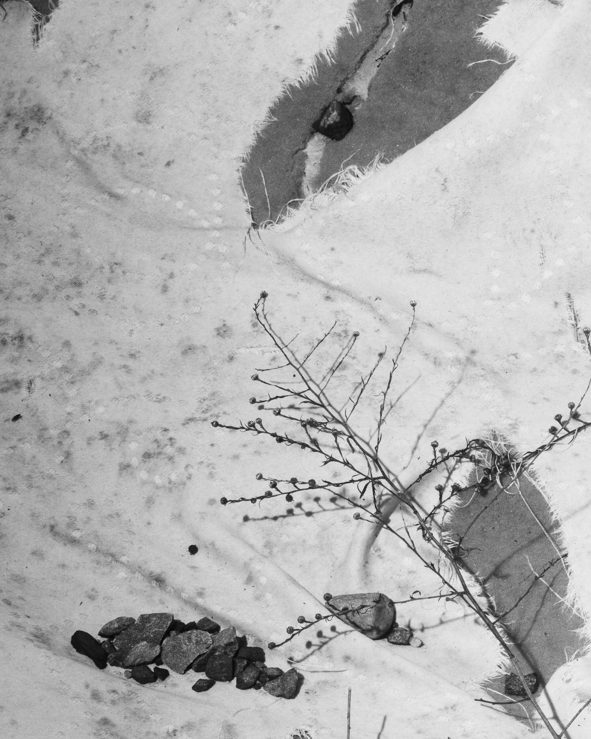 Still by Christopher Vigue - Image 6