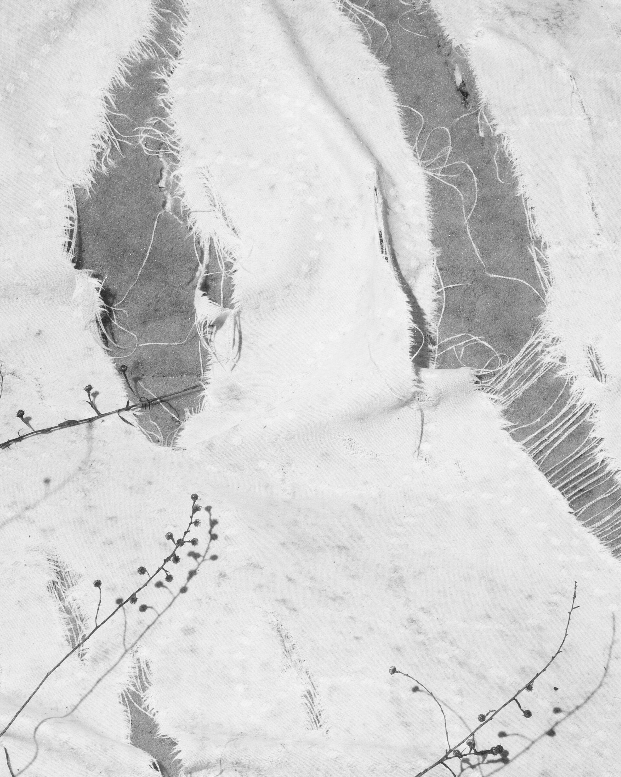 Still by Christopher Vigue - Image 5