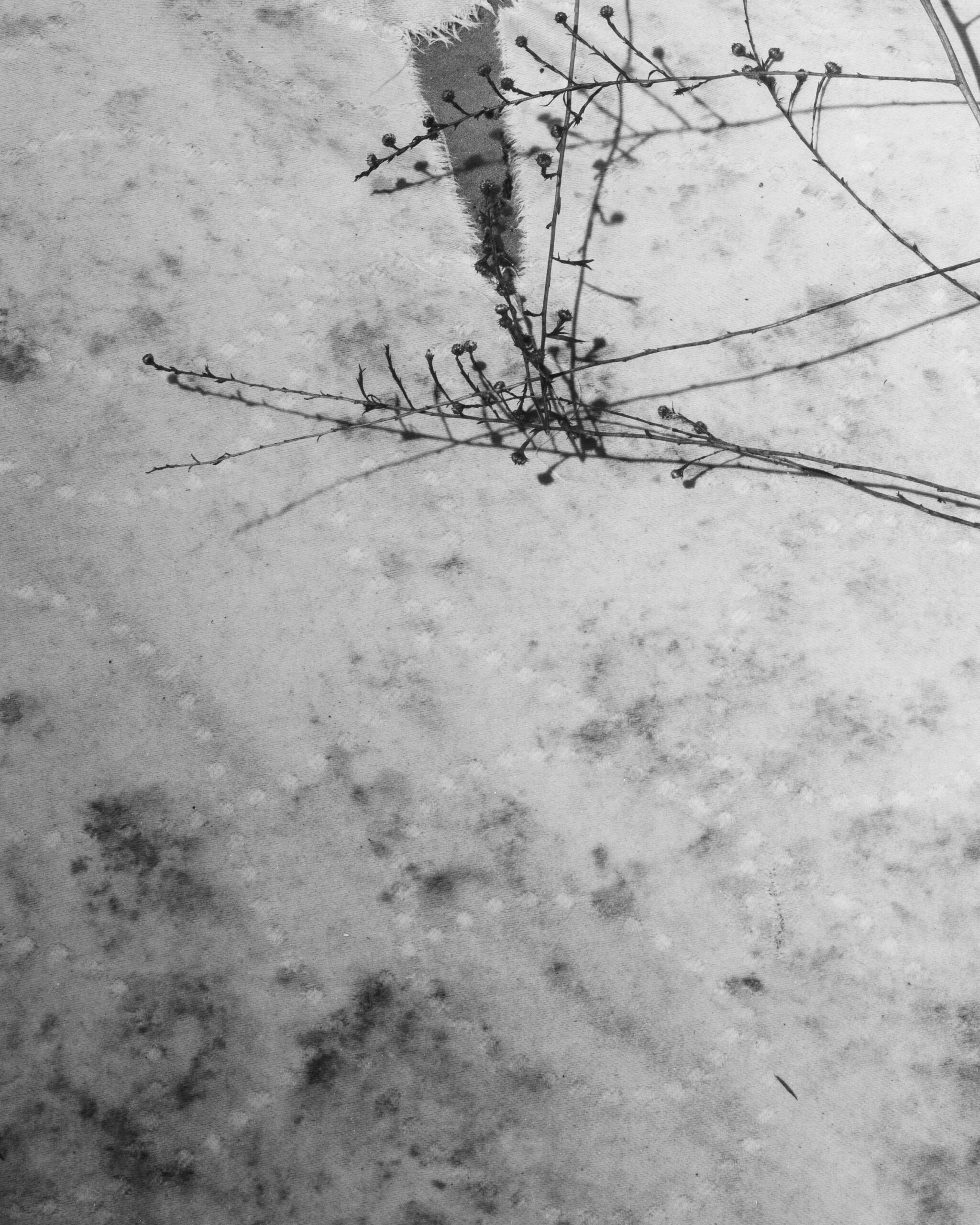 Still by Christopher Vigue - Image 4
