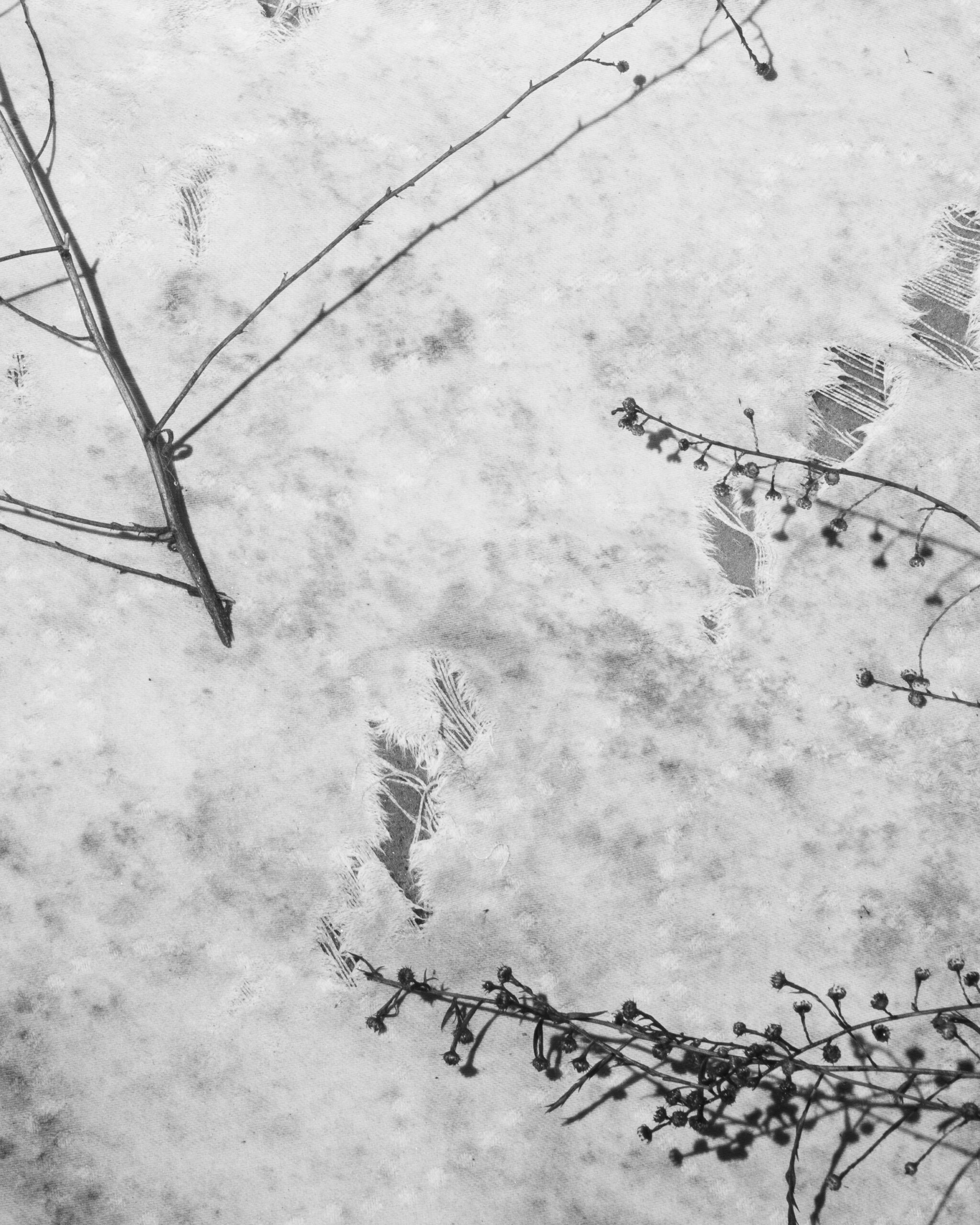 Still by Christopher Vigue - Image 3