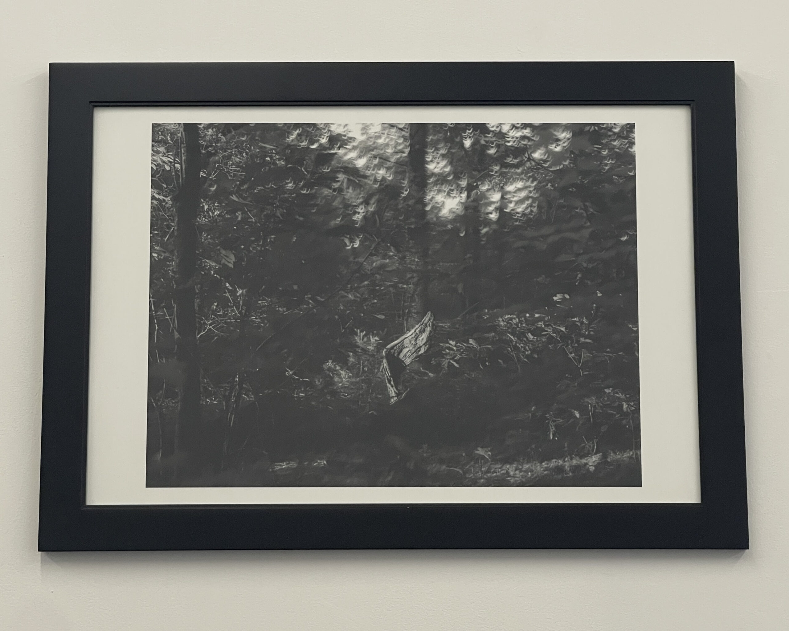 Wild Wing by Christopher Vigue - Image 2