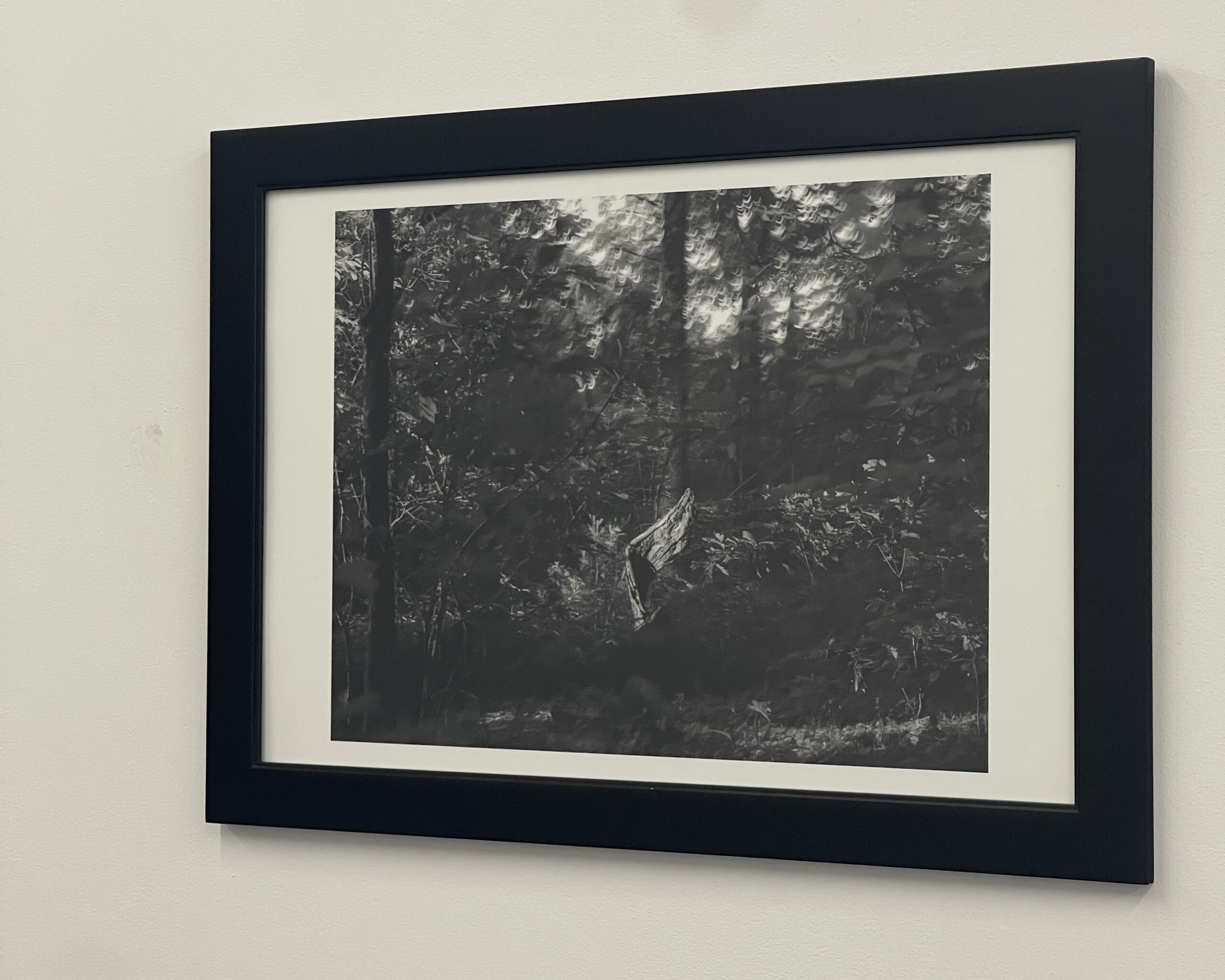 Wild Wing by Christopher Vigue - Image 3