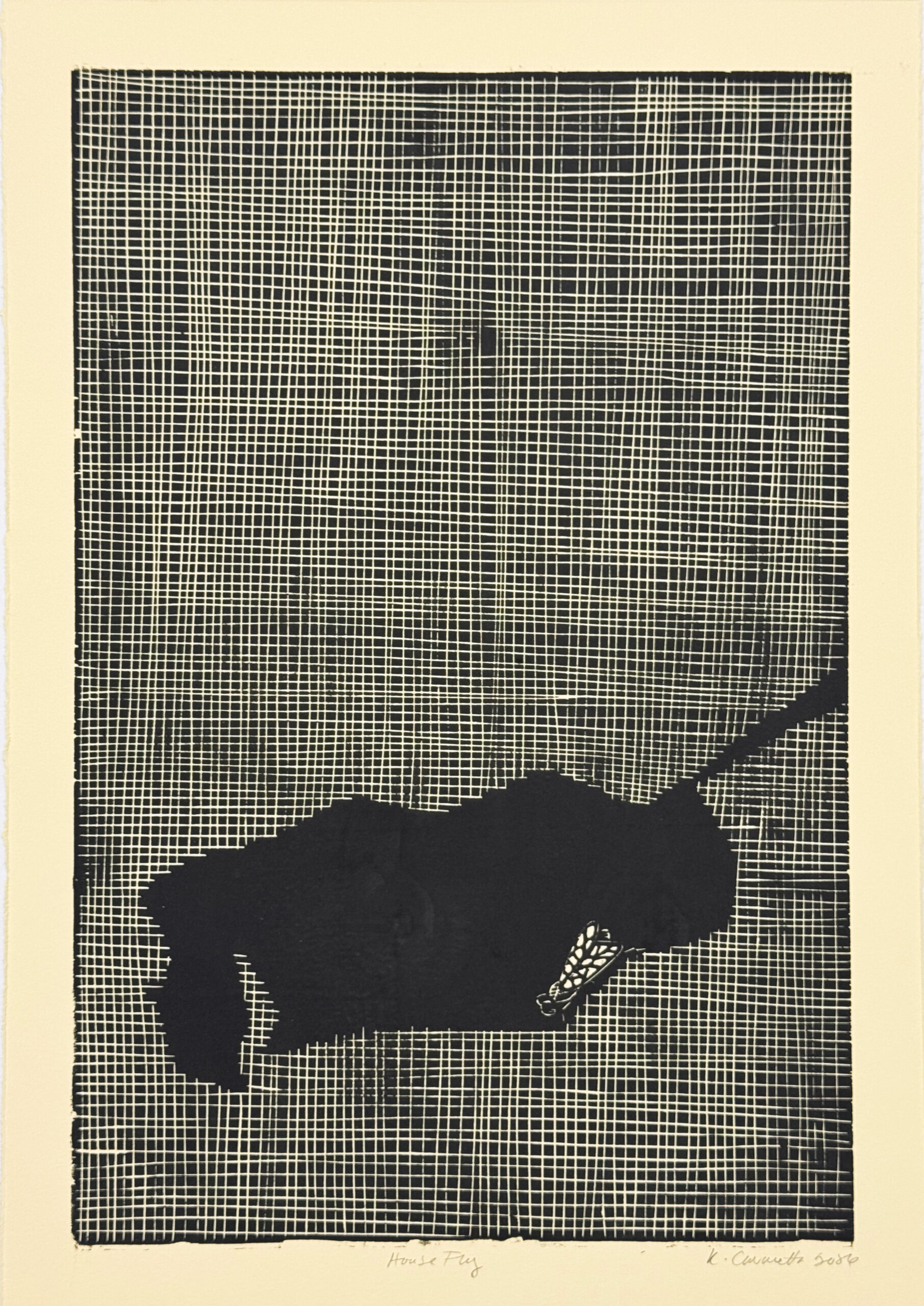 House Fly by Kristy Cavaretta - Image 8