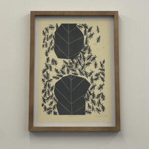 Cutter Ants by Kristy Cavaretta