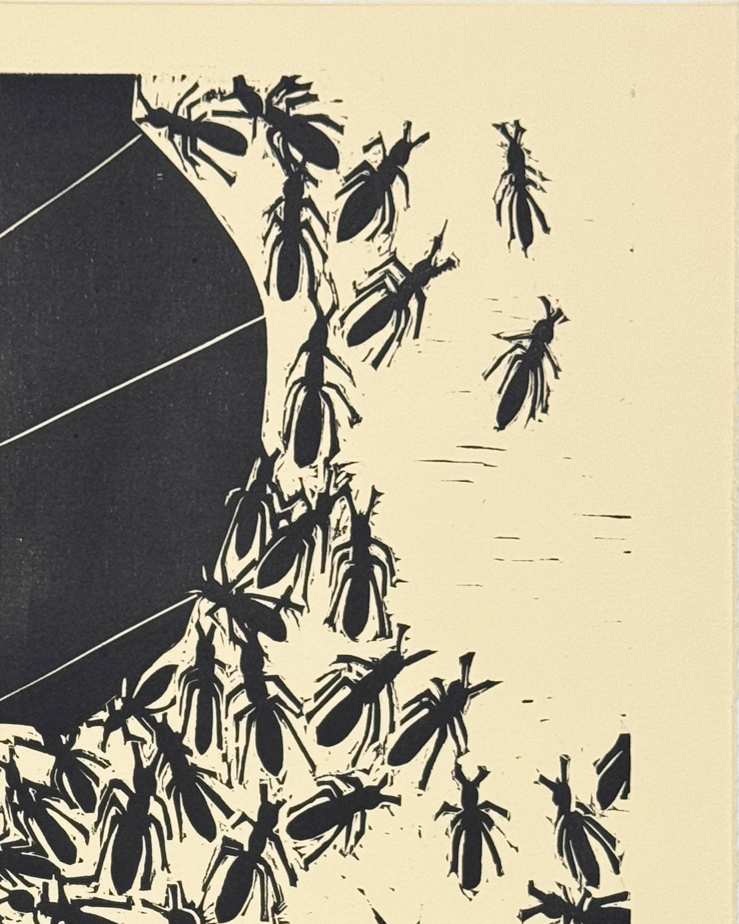 Cutter Ants by Kristy Cavaretta - Image 5
